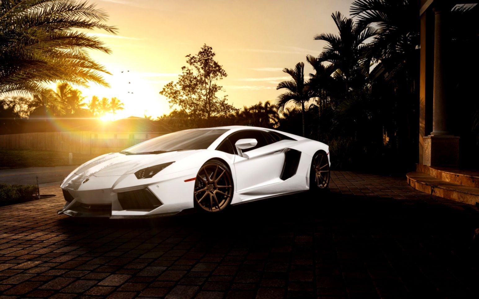 Lamborghini White Background