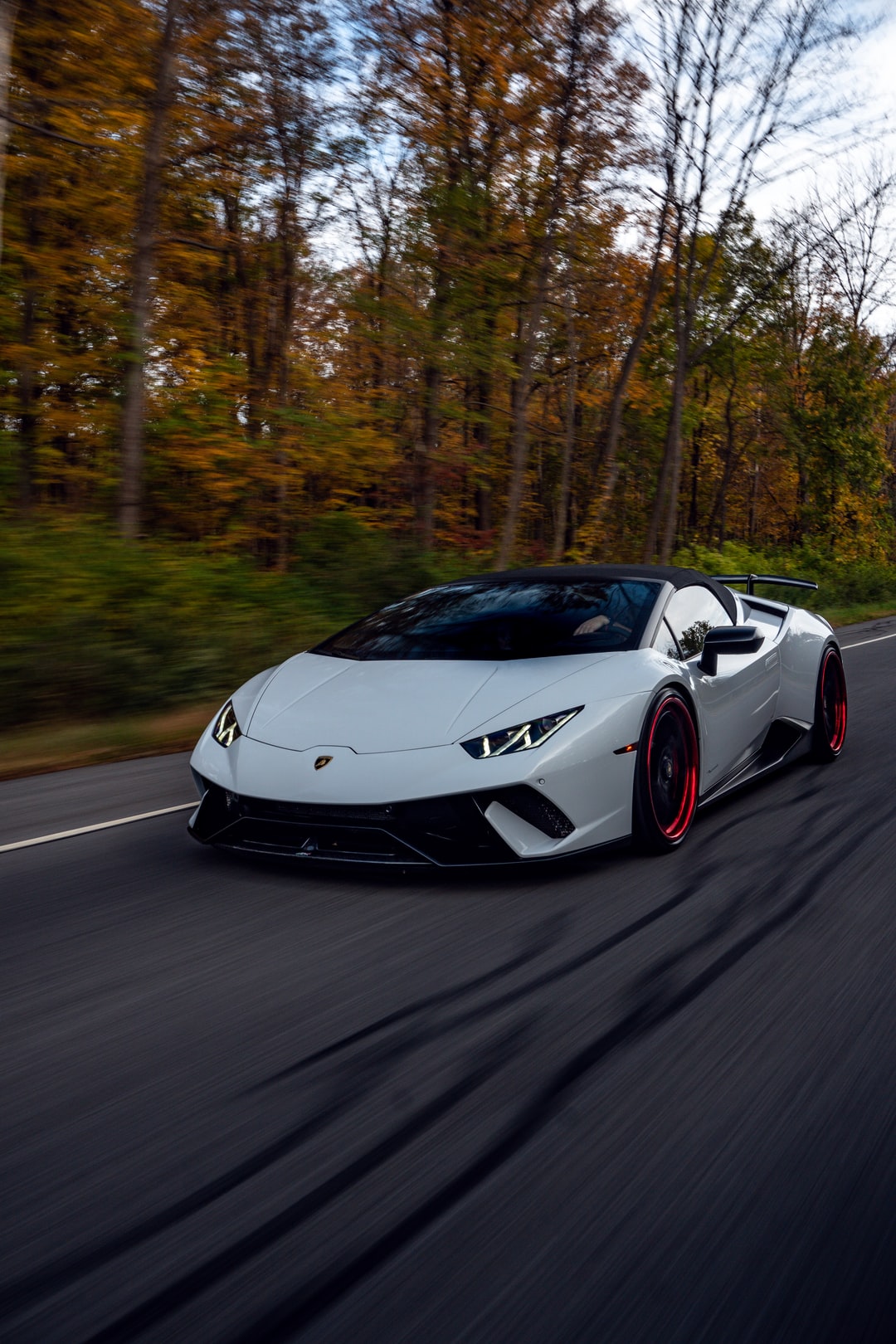 Lamborghini White Background