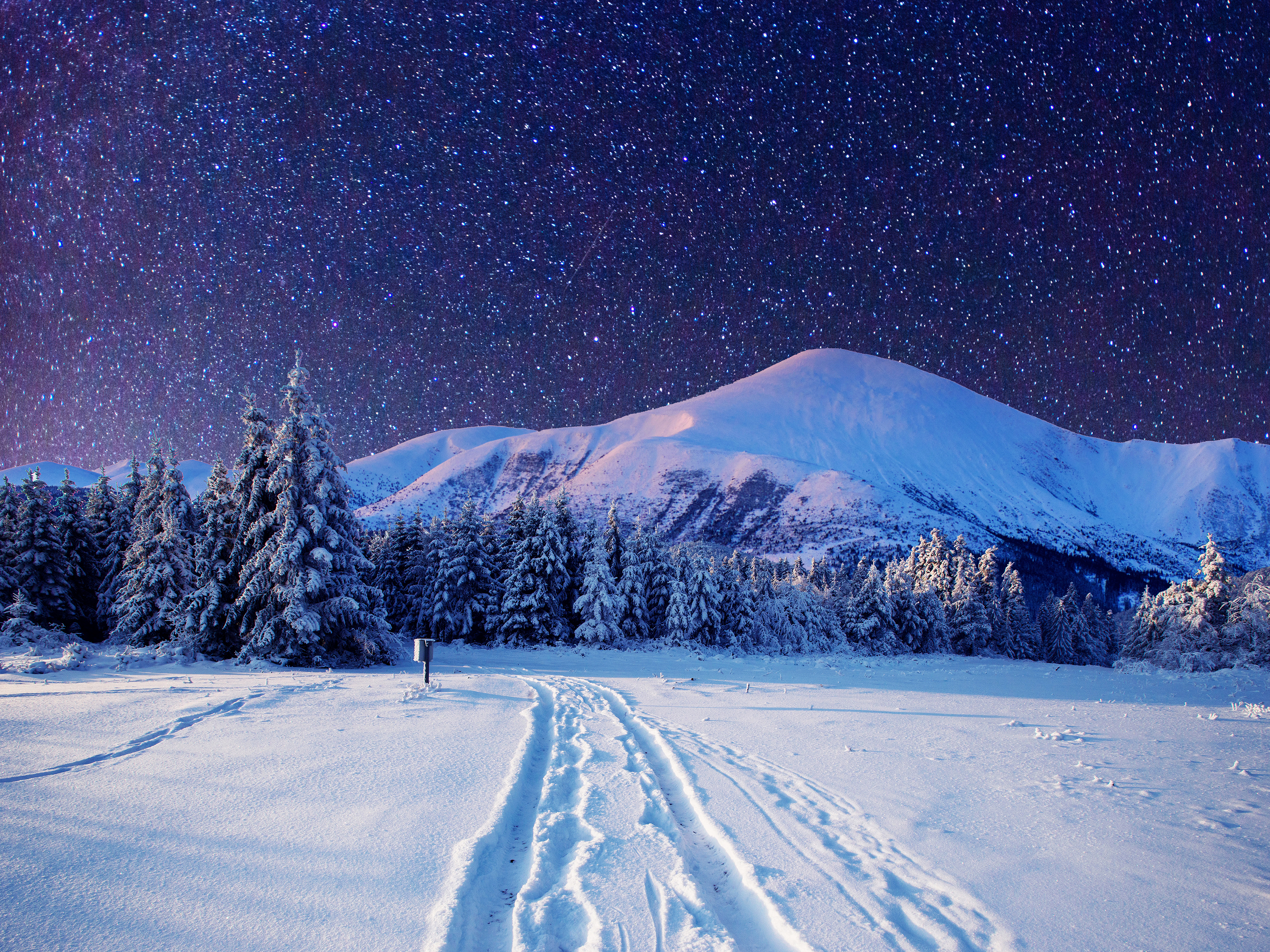 Landscape Forest Mountains In Night Sky Wallpapers
