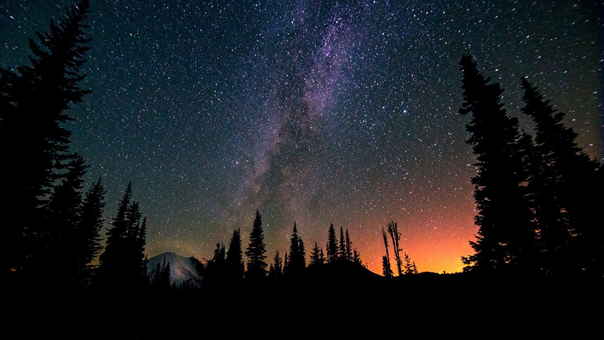 Landscape Forest Mountains In Night Sky Wallpapers