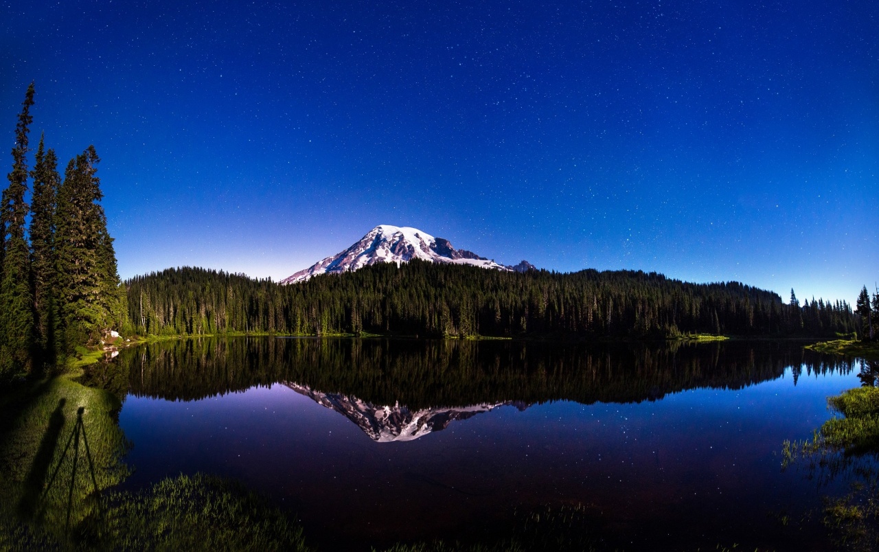 Landscape Forest Mountains In Night Sky Wallpapers