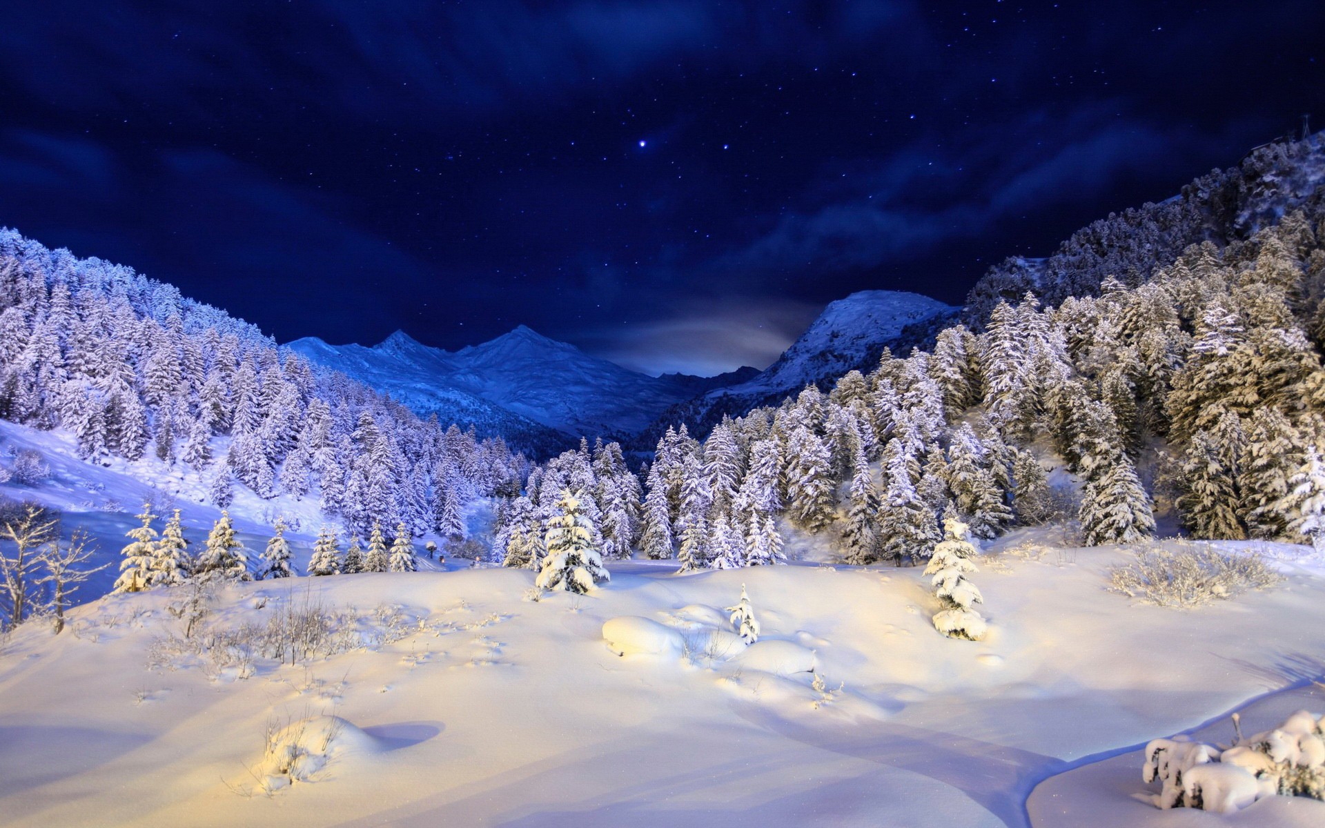 Landscape Forest Mountains In Night Sky Wallpapers