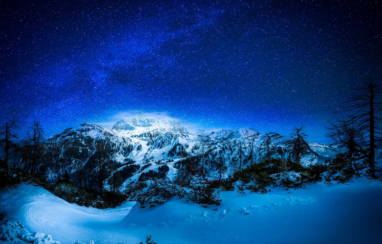 Landscape Forest Mountains In Night Sky Wallpapers