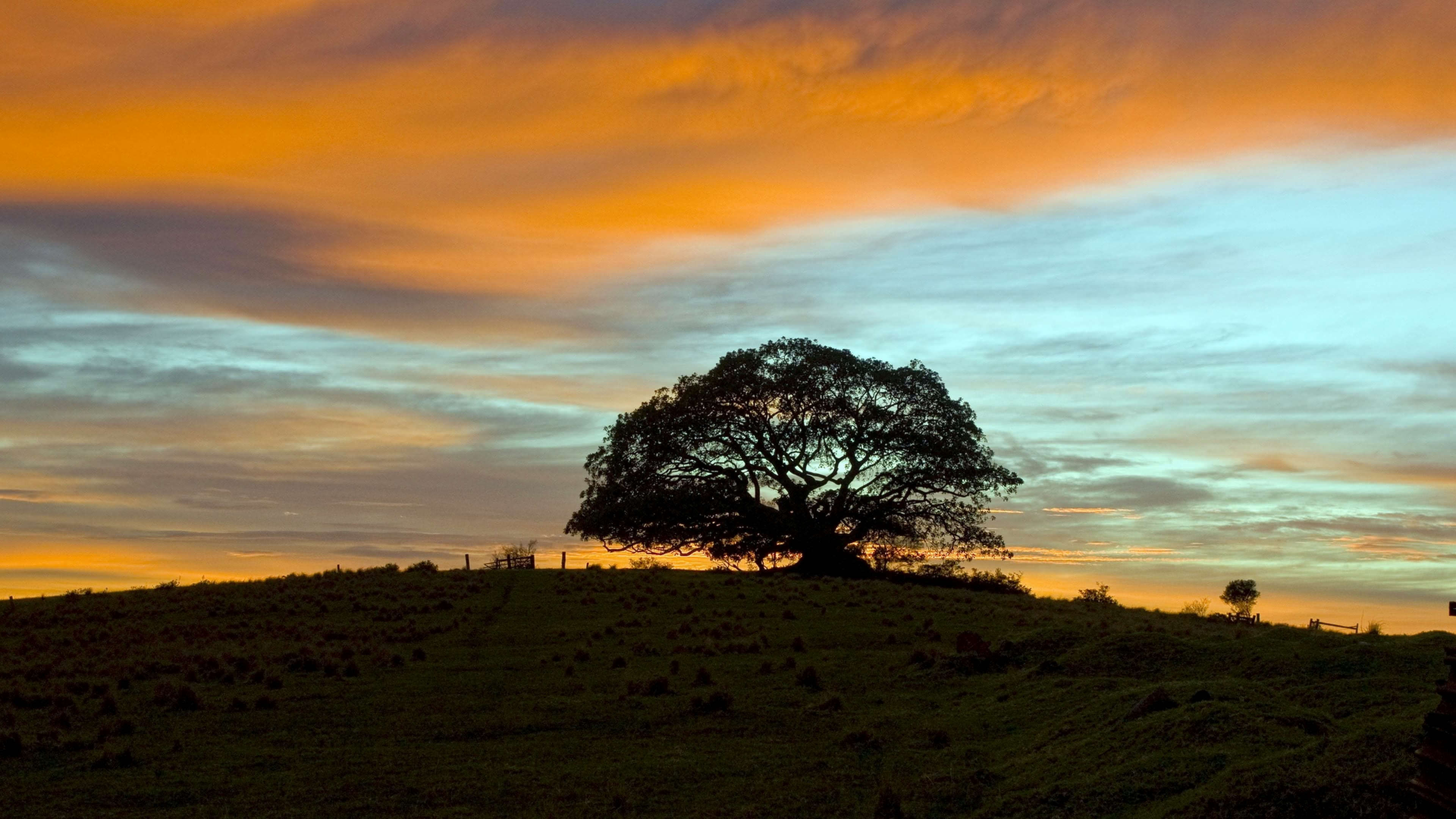 Landscape Grid Art 4K Wallpapers