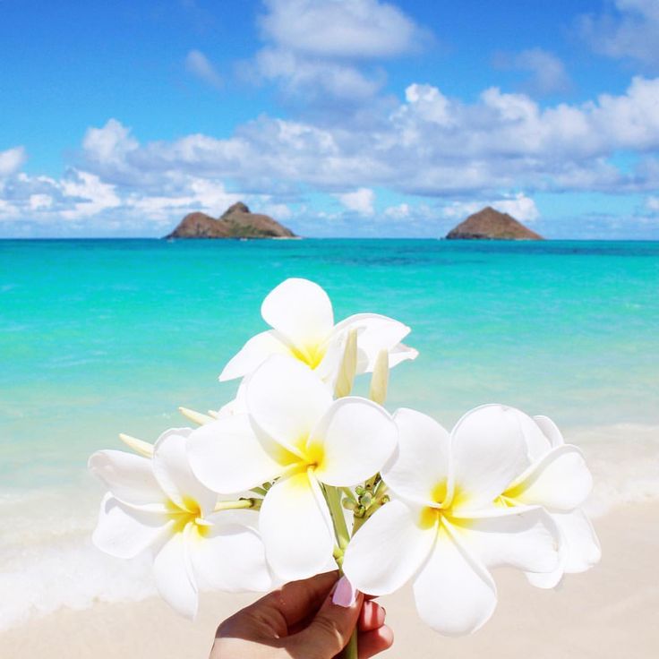 Lanikai Beach Pictures Wallpapers