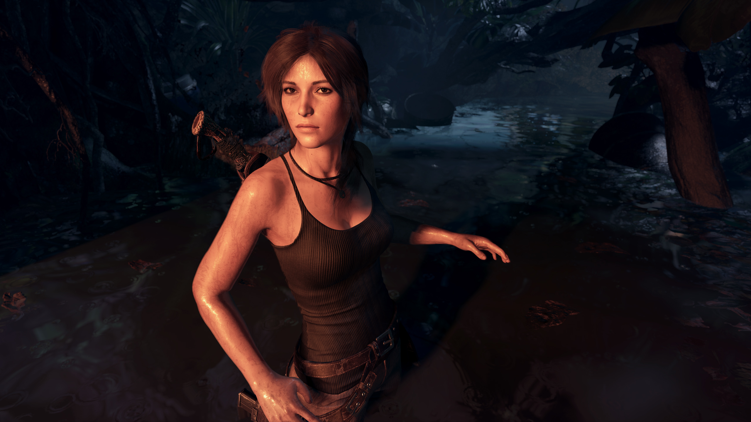 Lara Croft Background