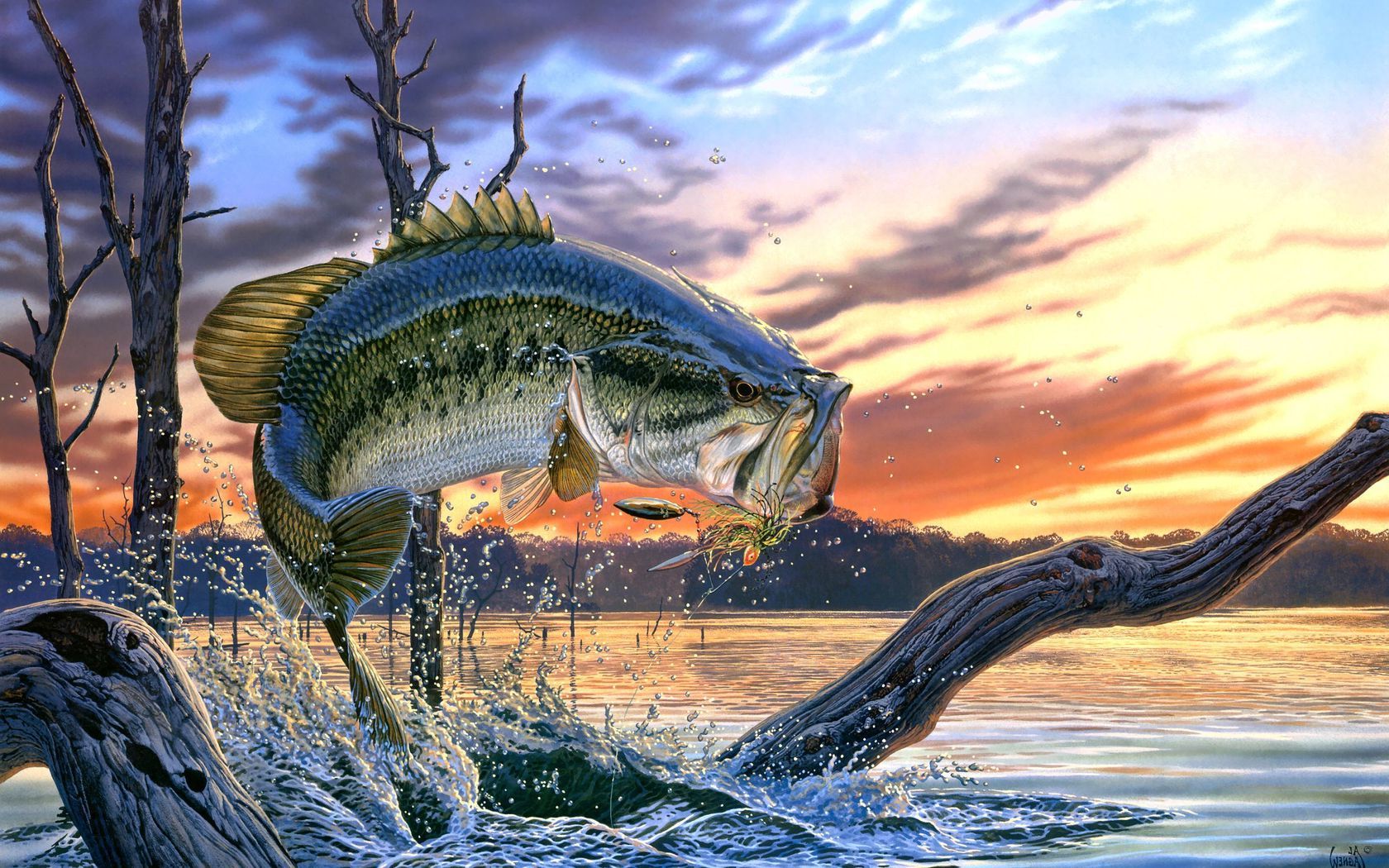 Largemouth Bass Wallpapers