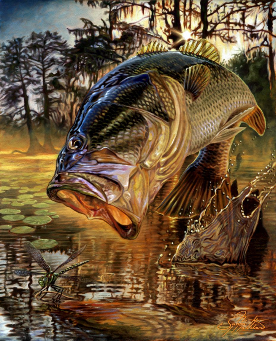 Largemouth Bass Wallpapers