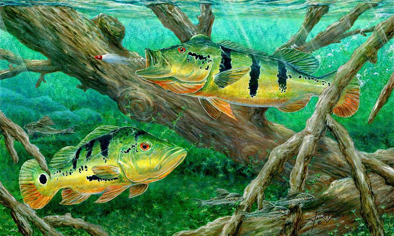 Largemouth Bass Wallpapers