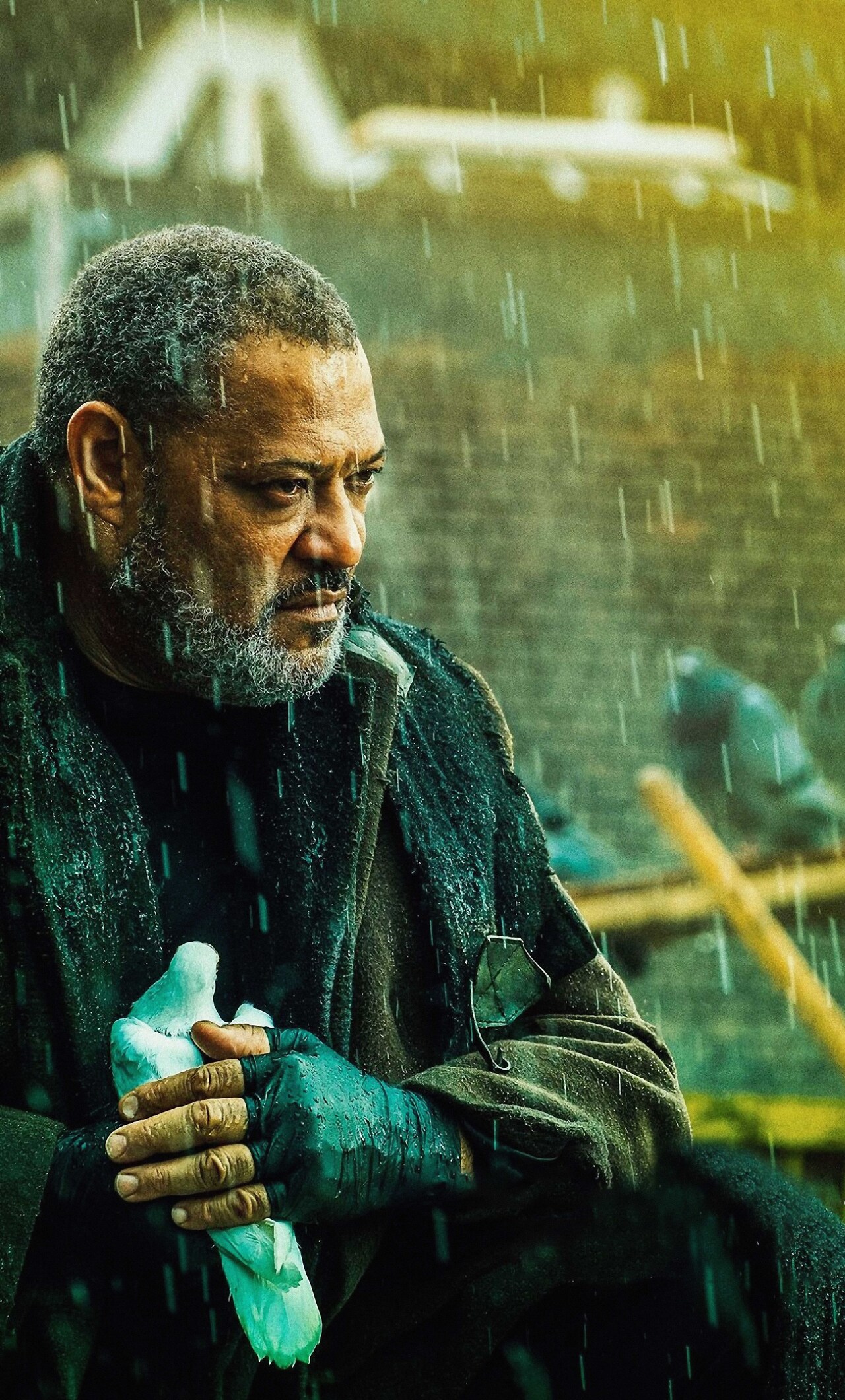 Laurence Fishburne Wallpapers