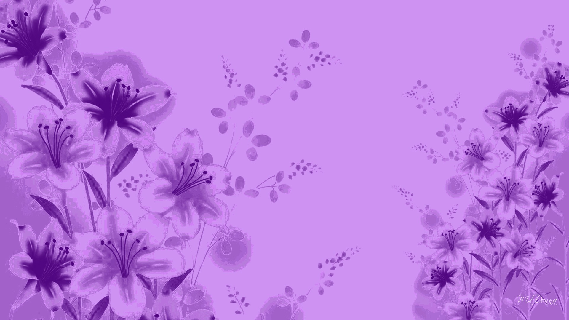 Lavender Colour Wallpapers