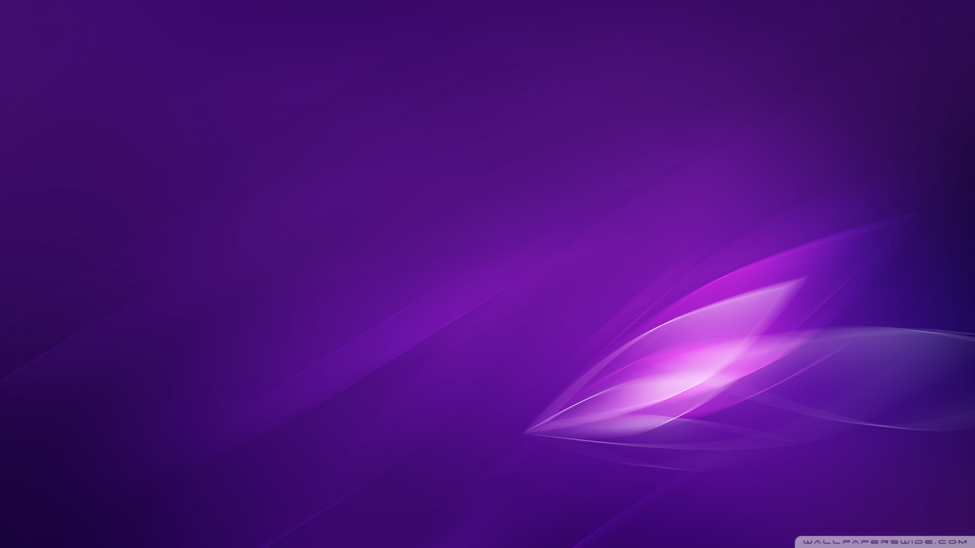 Lavender Colour Wallpapers