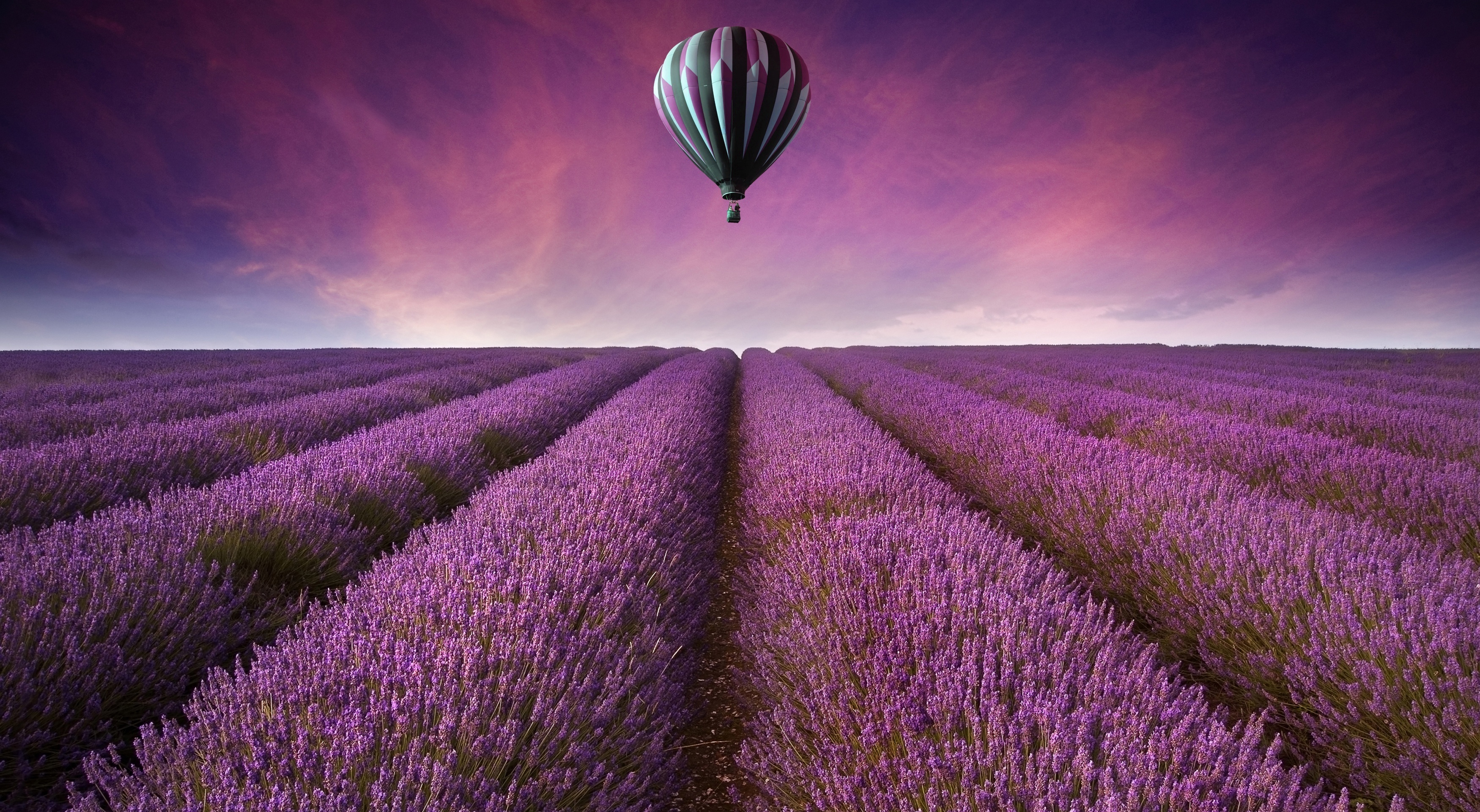 Lavender Colour Wallpapers