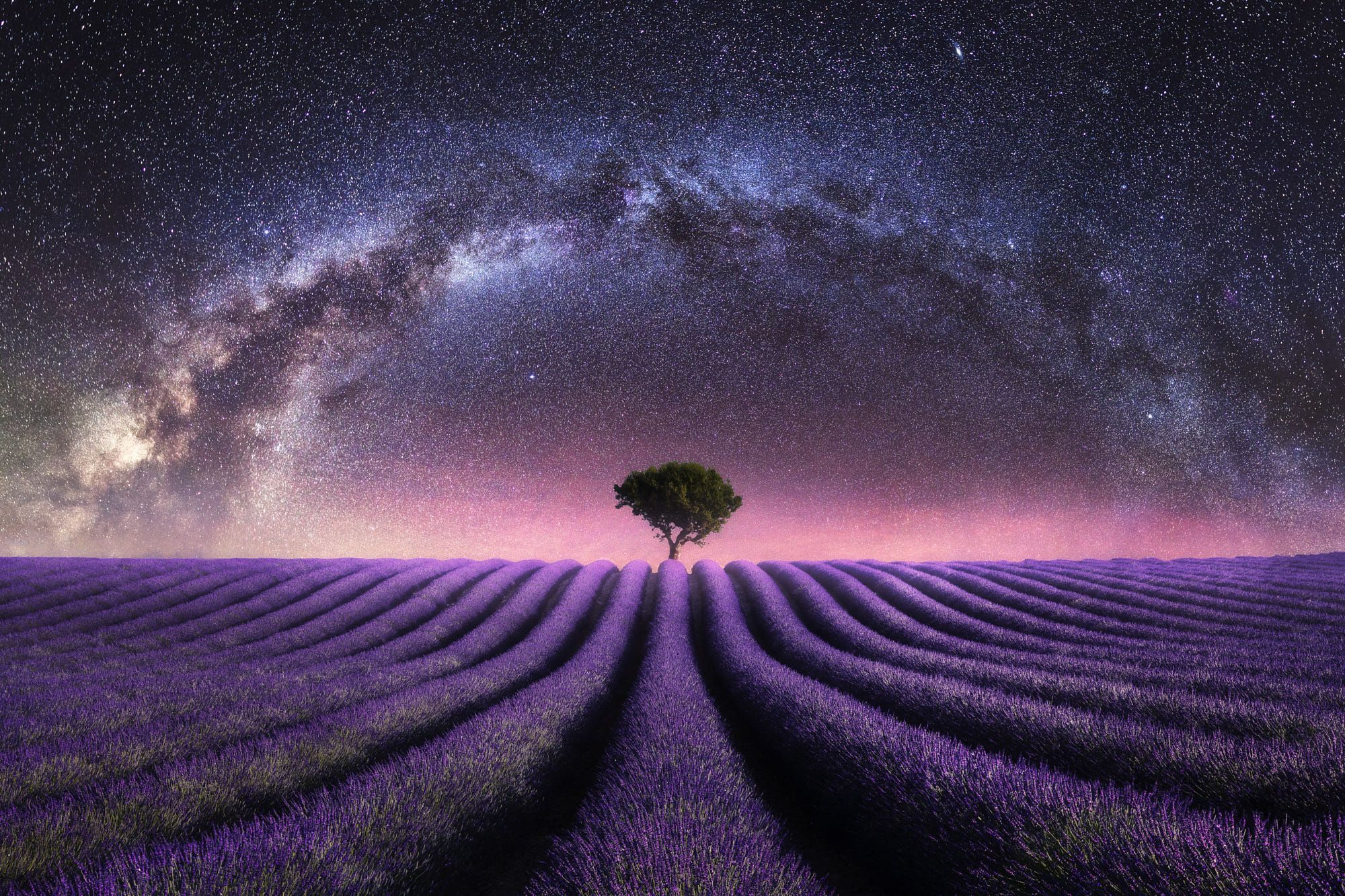 Lavender Field At Night Wallpapers