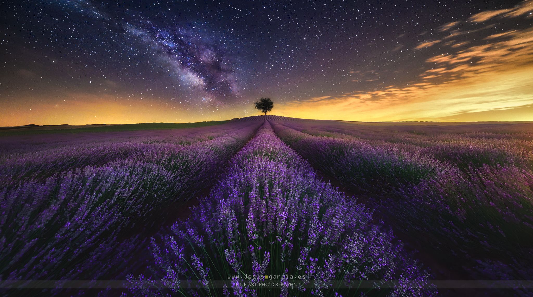 Lavender Field At Night Wallpapers