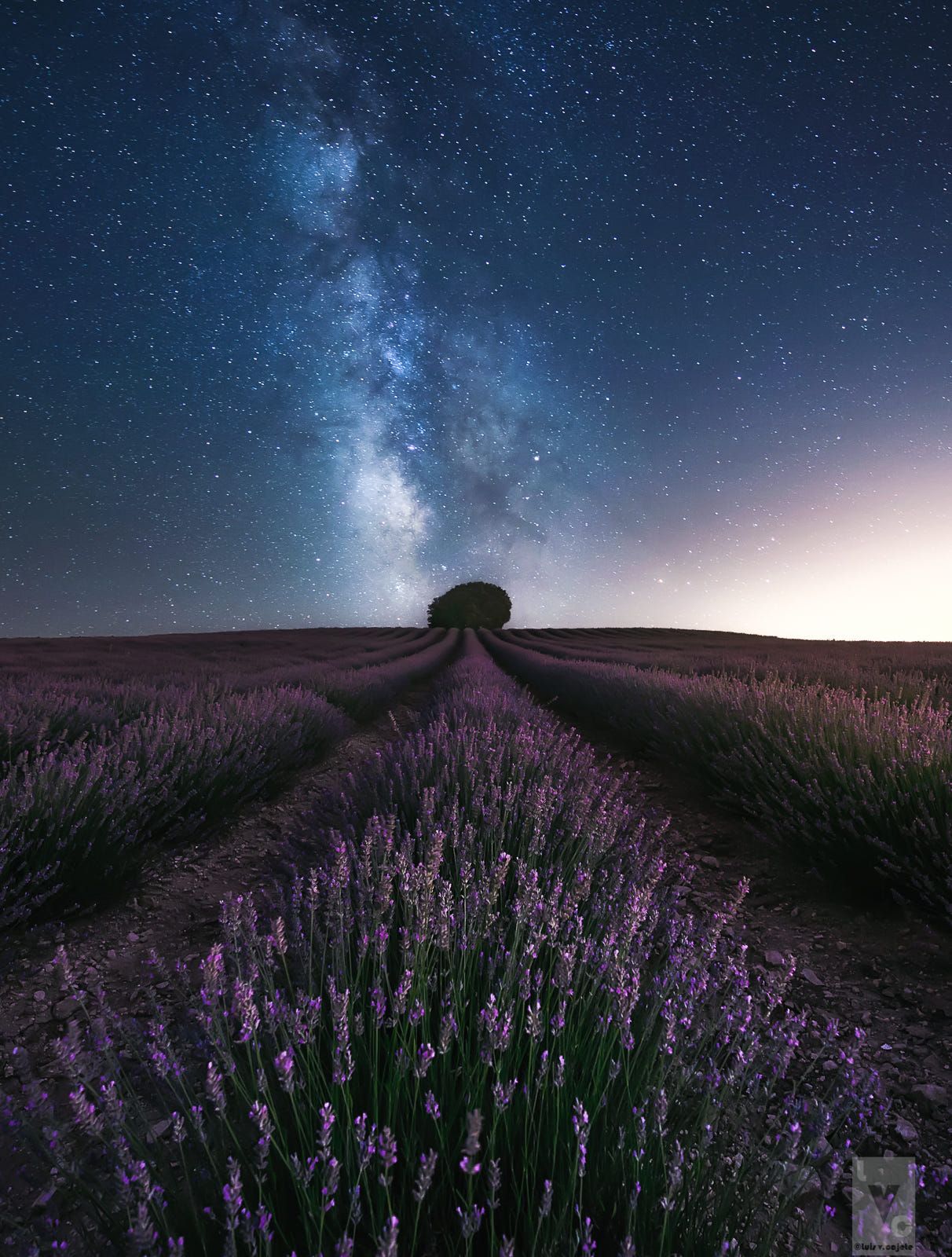 Lavender Field At Night Wallpapers