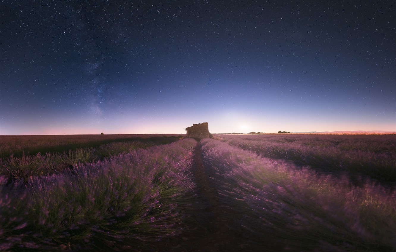 Lavender Field At Night Wallpapers