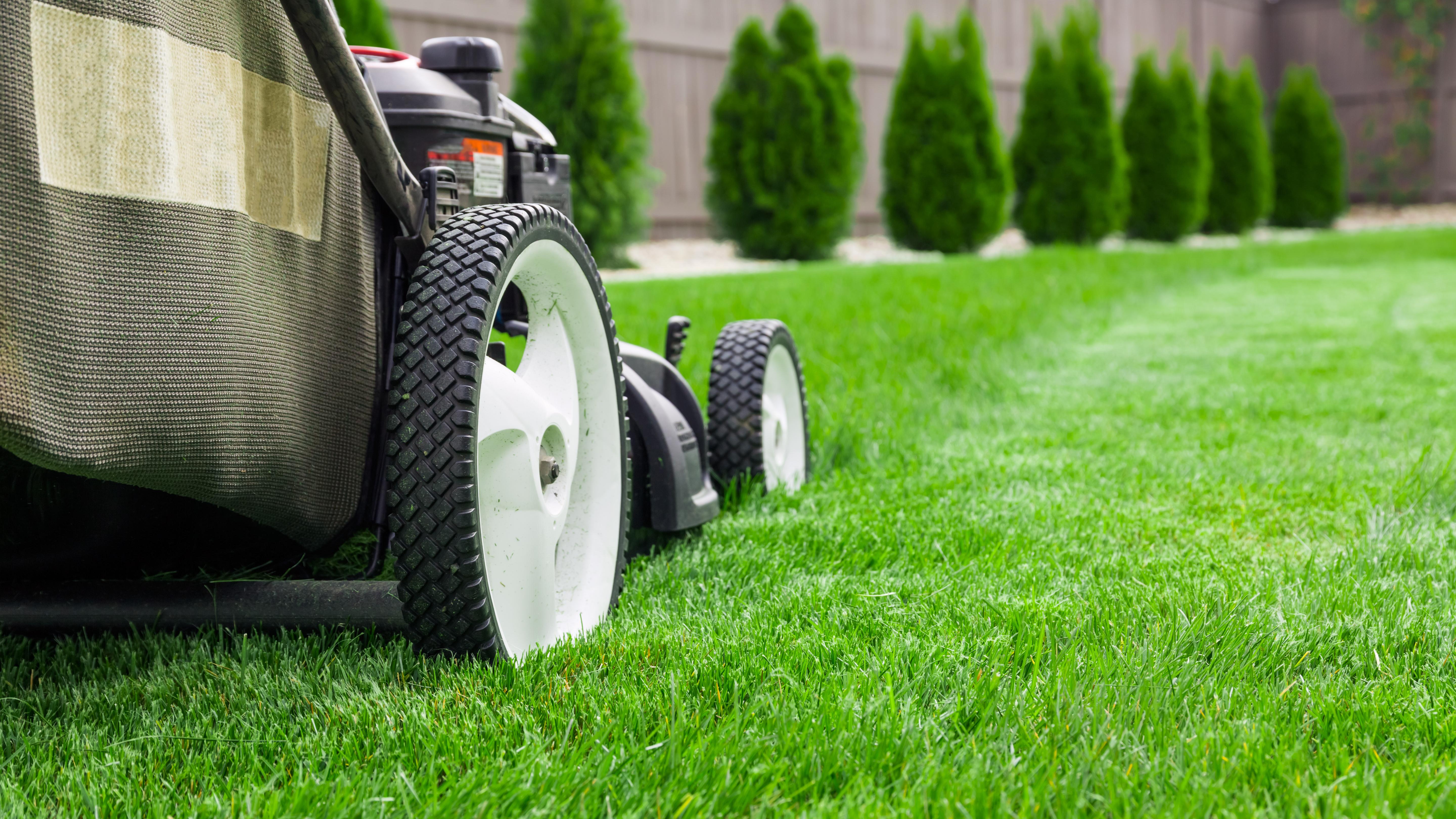 Lawn Mower Wallpapers