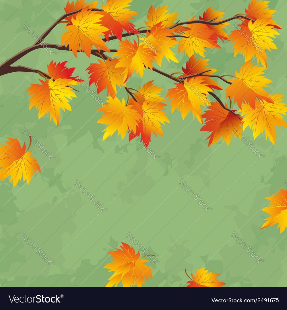 Leaf Autumn Wallpapers