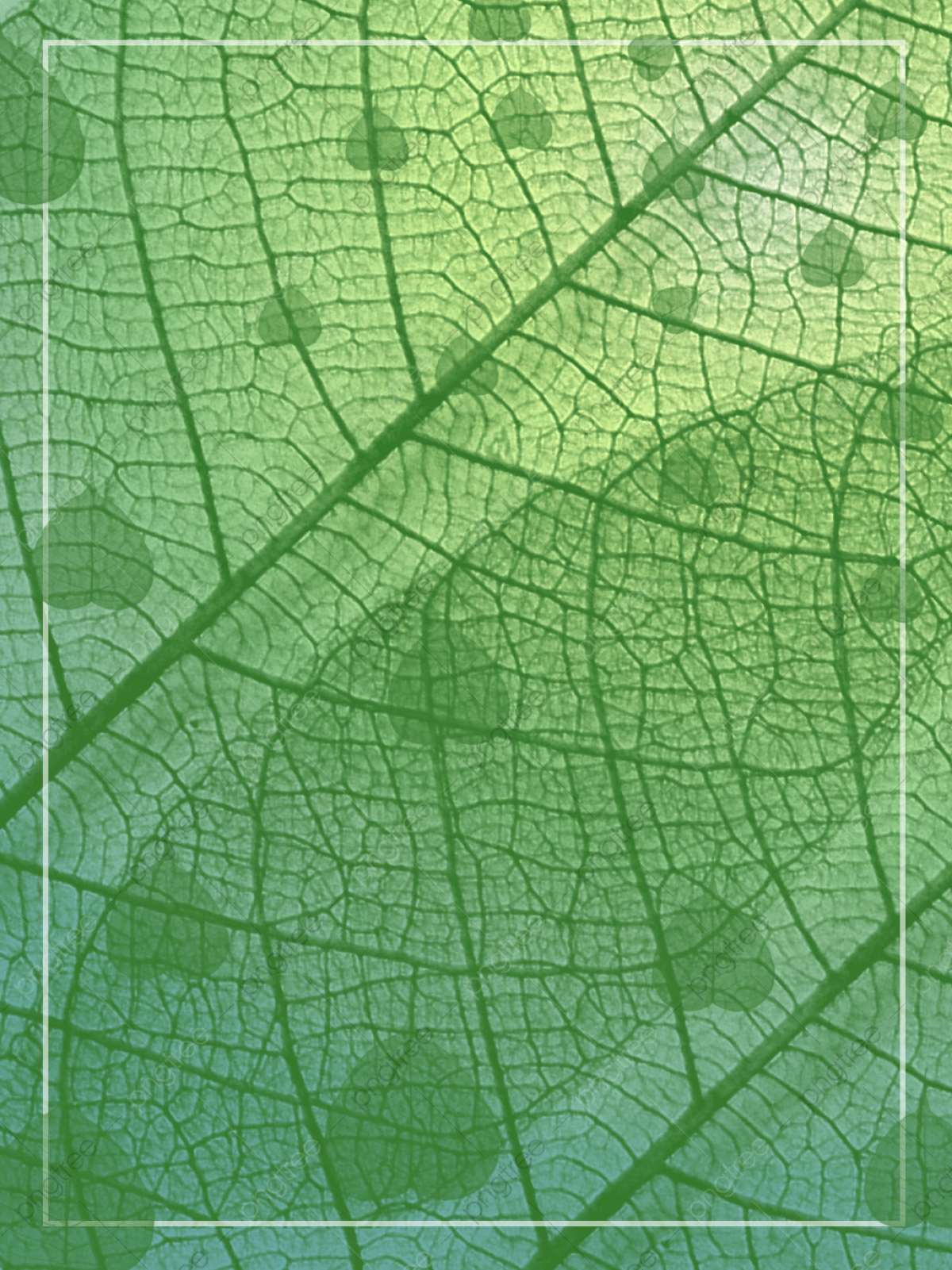 Leaf Texture Background