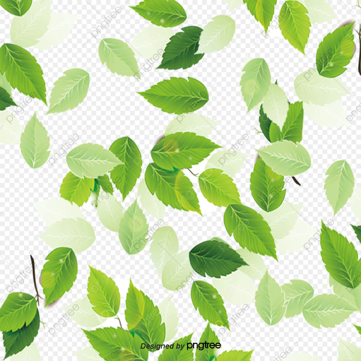 Leaf Texture Background