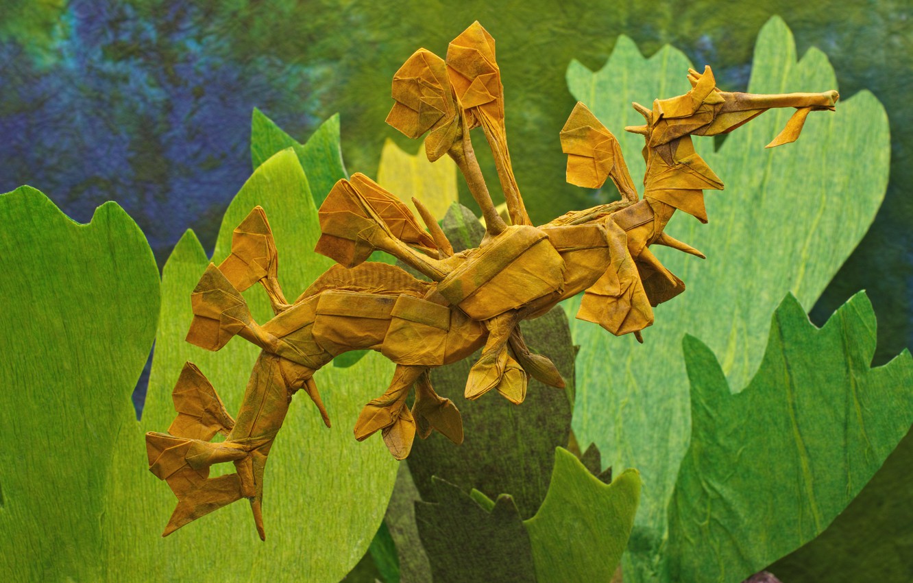 Leafy Seadragon Wallpapers