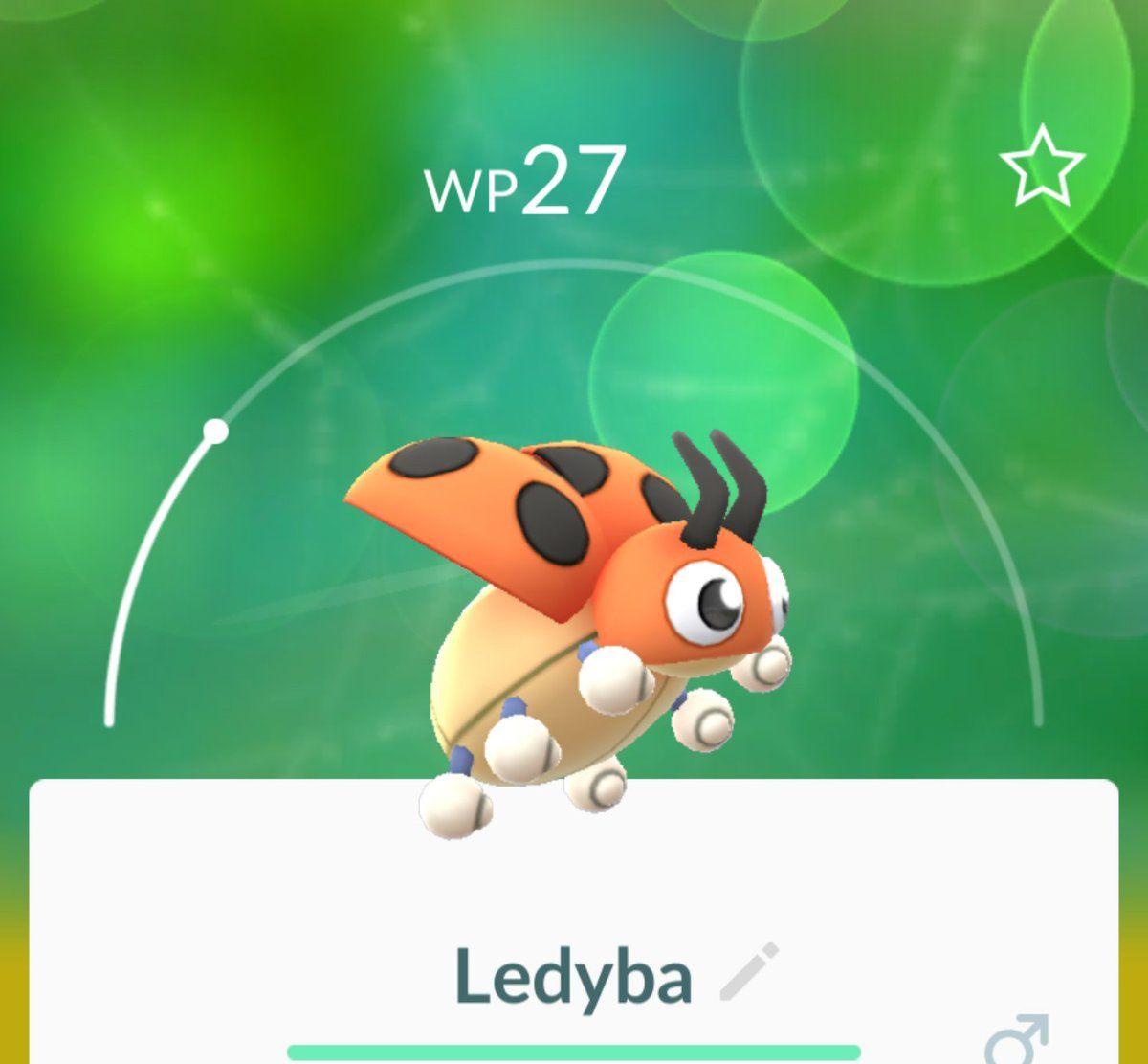 Ledyba Hd Wallpapers