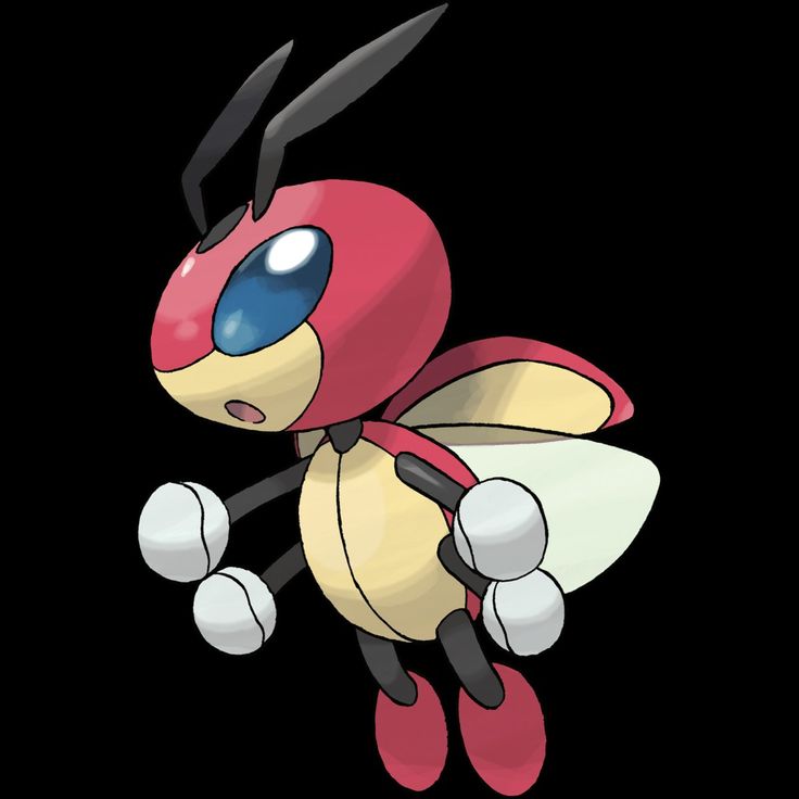 Ledyba Hd Wallpapers