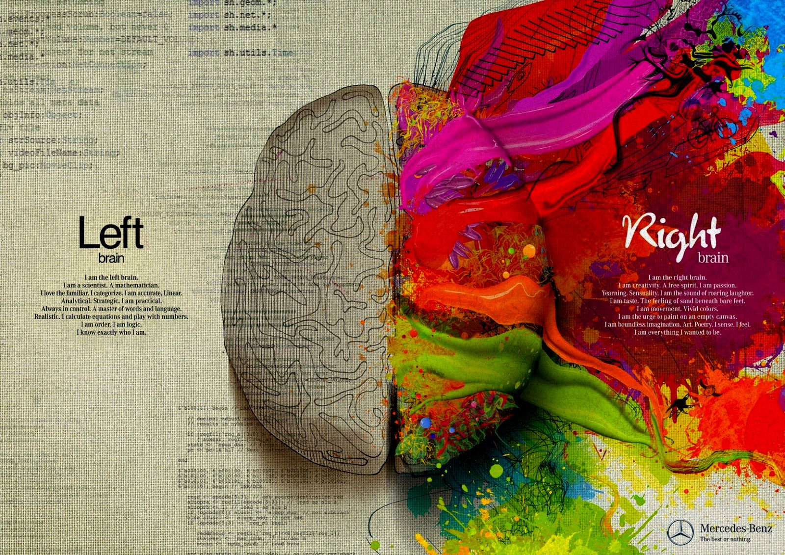 Left &Amp; Right Brain Hd Cool Wallpapers