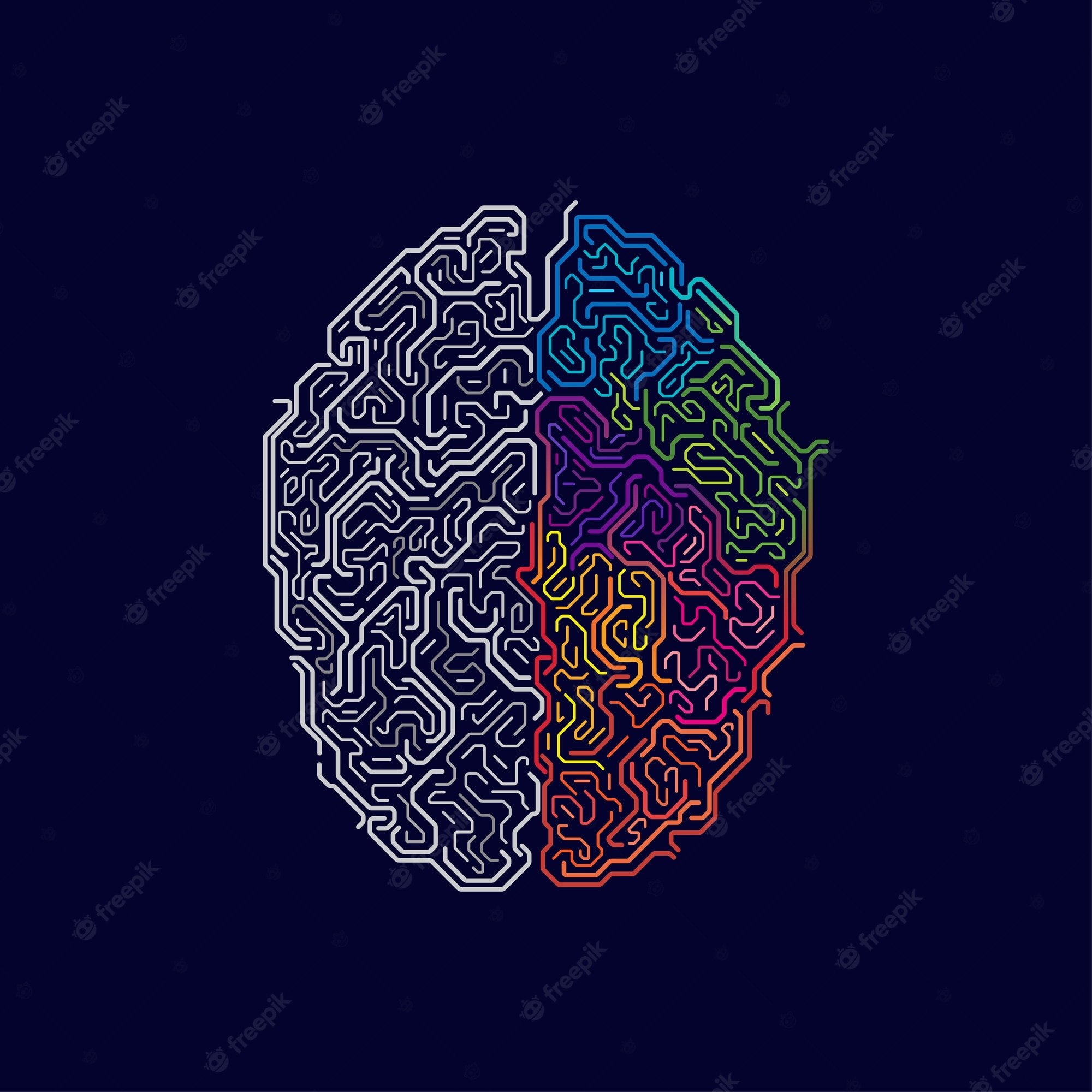 Left &Amp; Right Brain Hd Cool Wallpapers