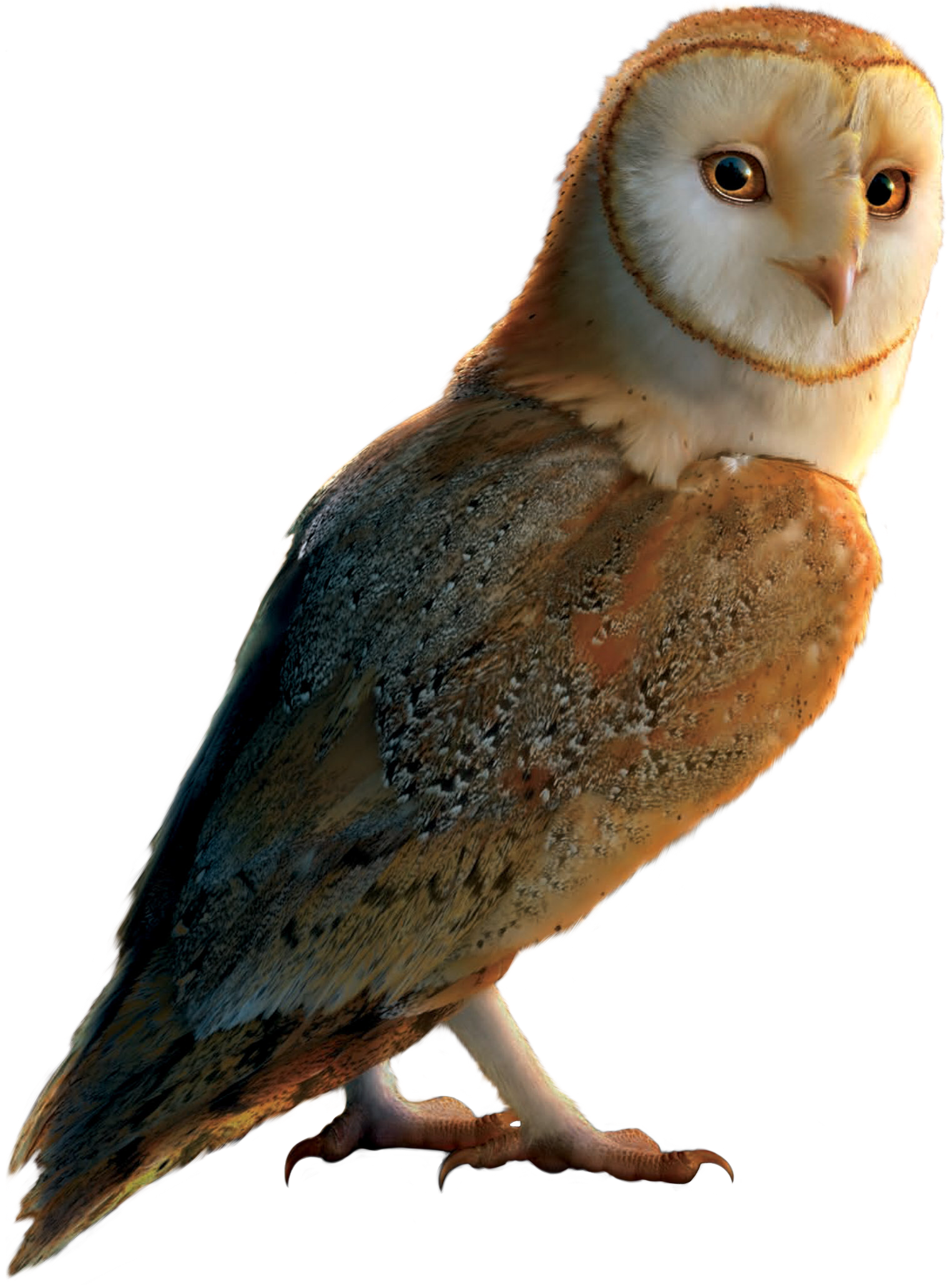 Legend Of The Guardians: The Owls Of Ga'Hoole Wallpapers