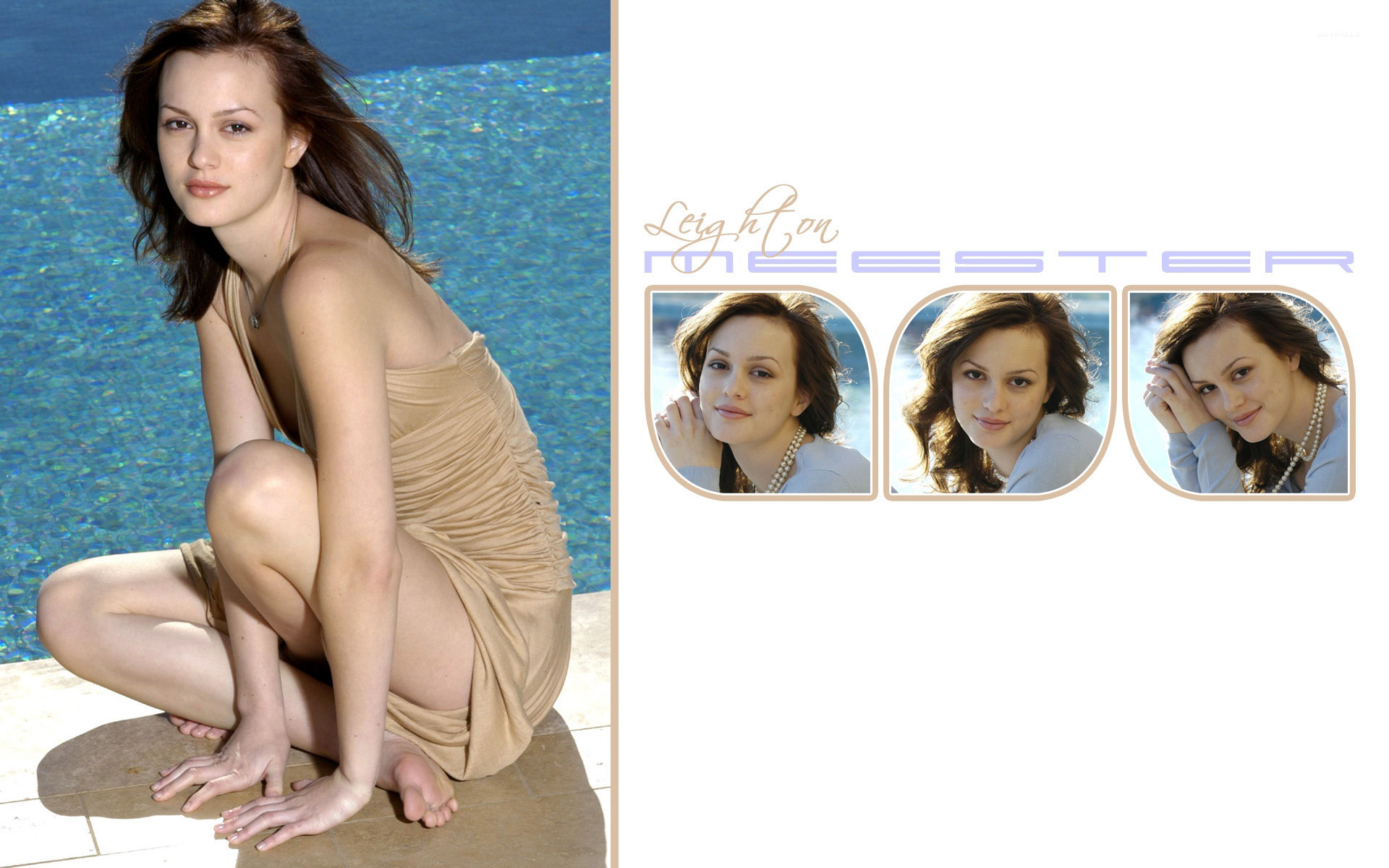 Leighton Meester Wallpapers