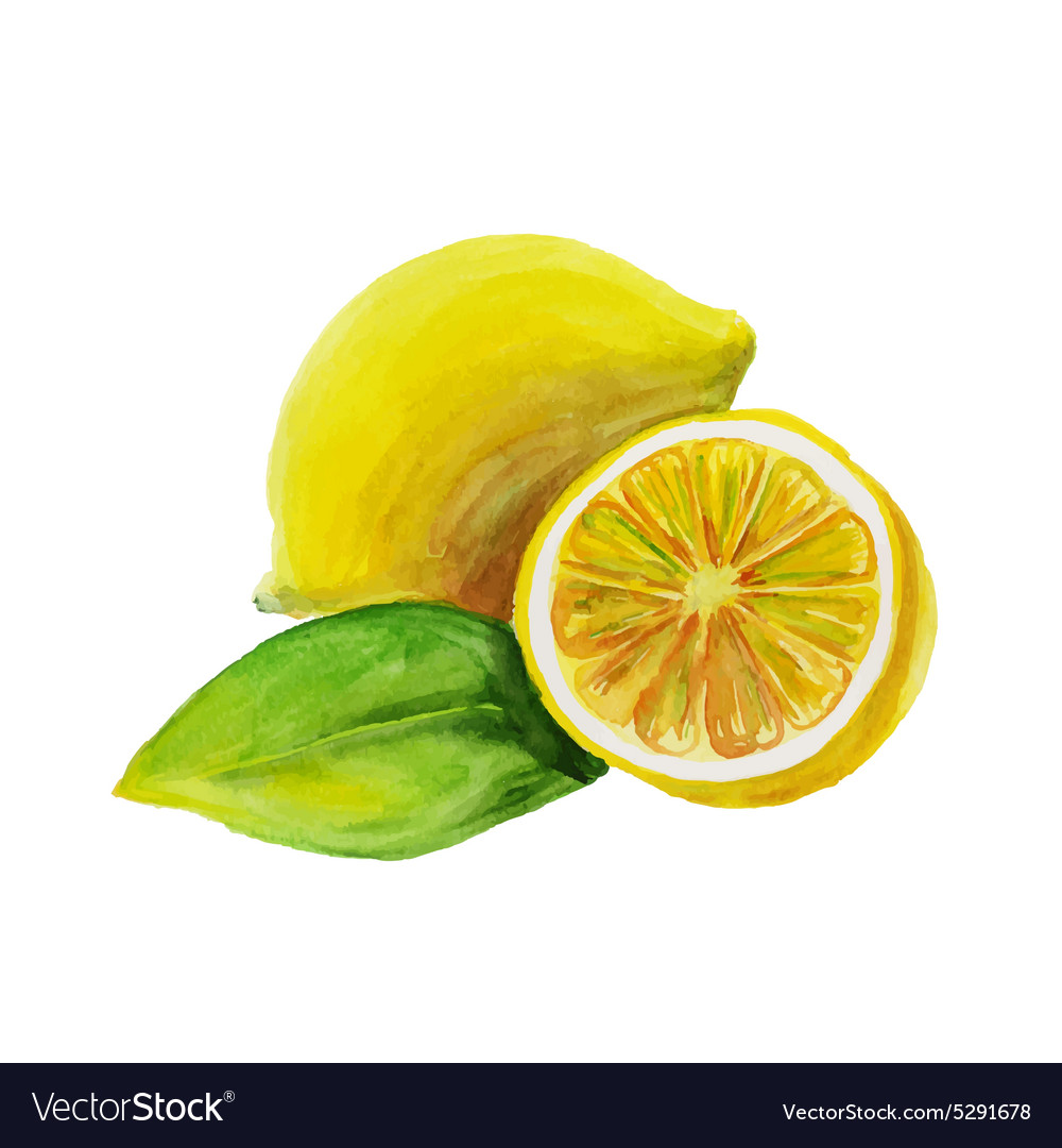 Lemon Watercolor Background