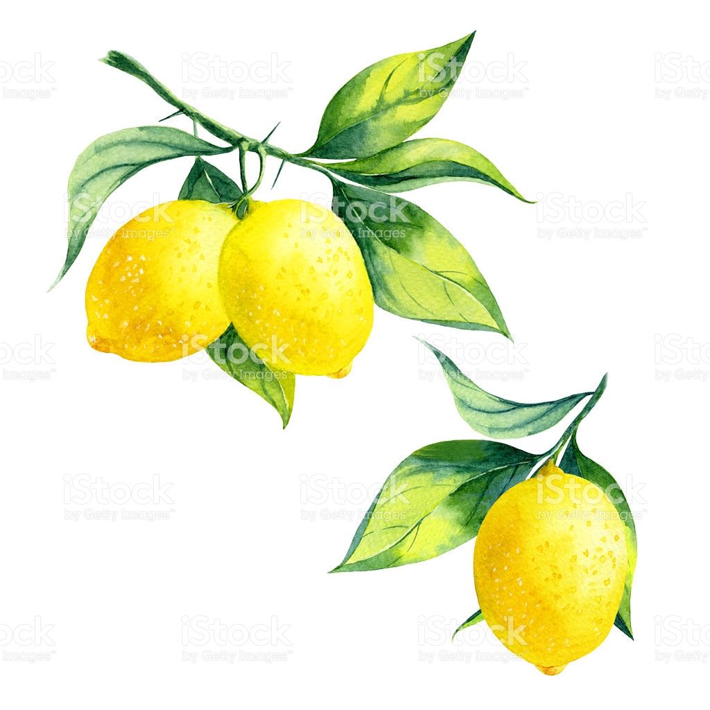 Lemon Watercolor Background