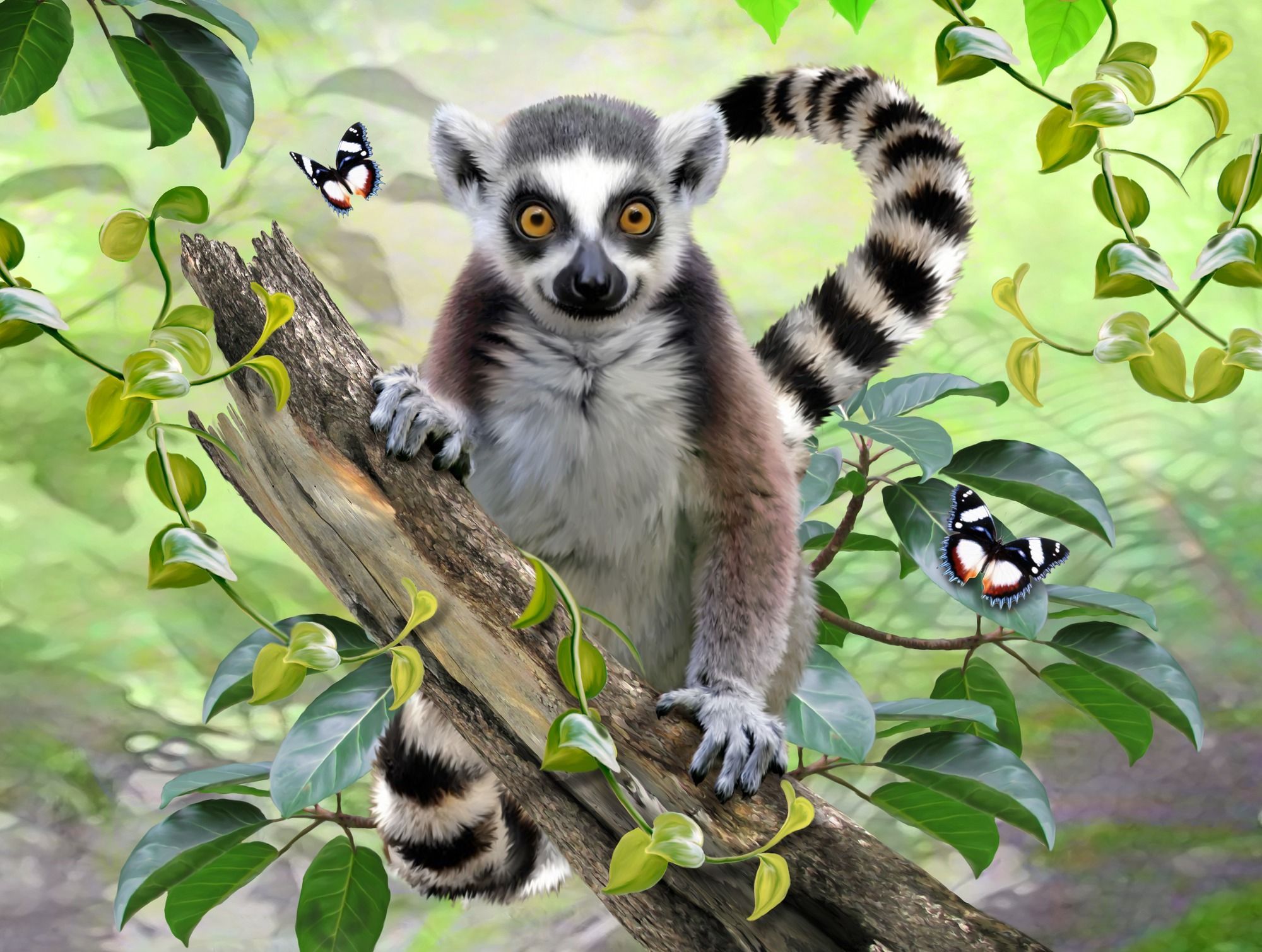 Lemurs Wallpapers