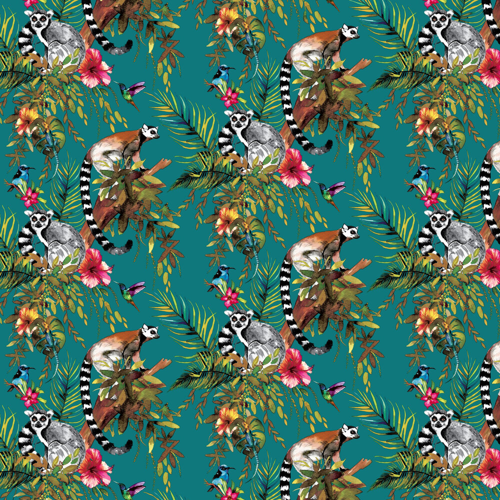 Lemurs Wallpapers