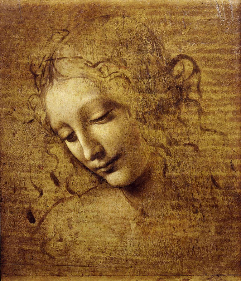 Leonardo Da Vinci Wallpapers