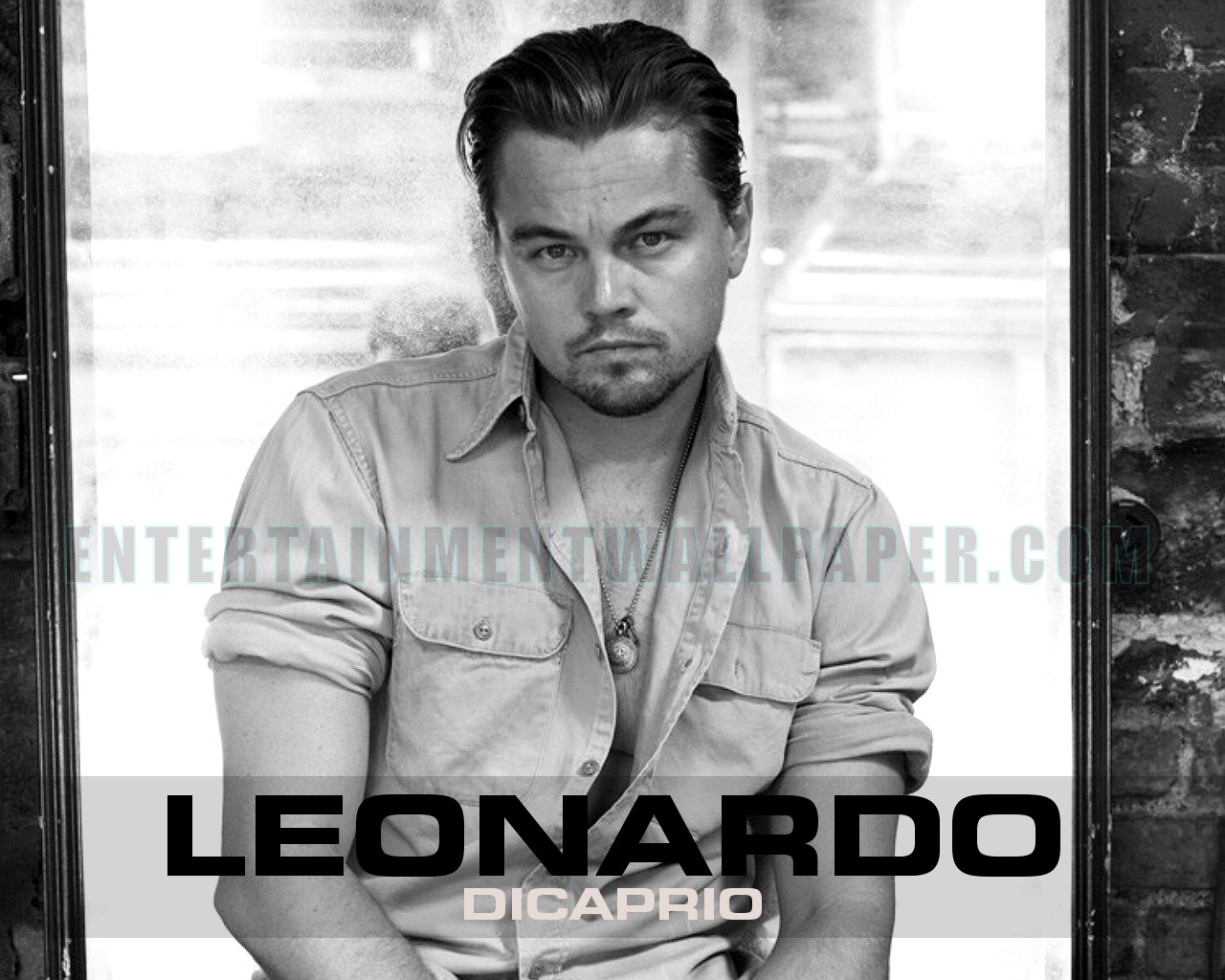 Leonardo Dicaprio Monochrome Wallpapers