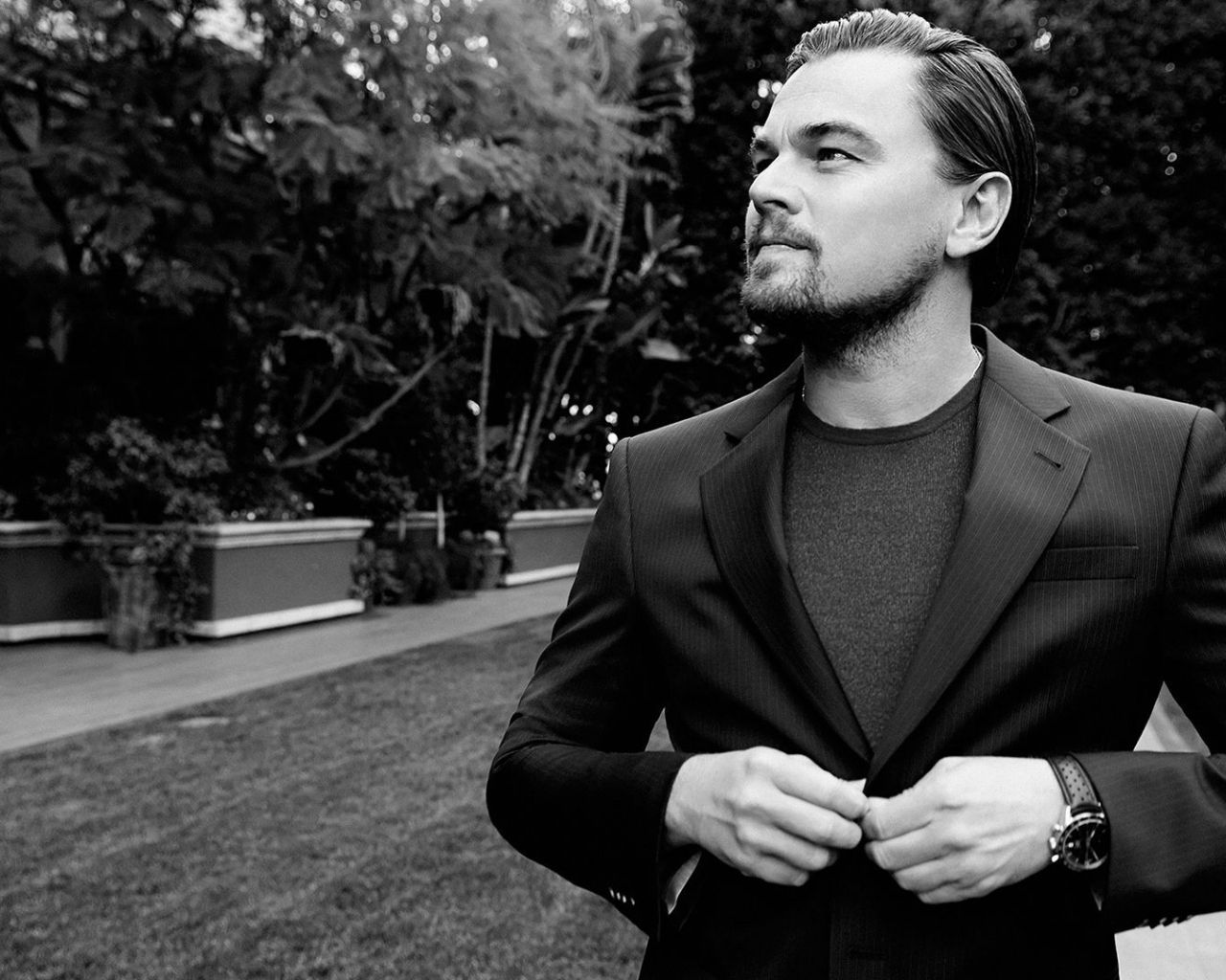 Leonardo Dicaprio Monochrome Wallpapers