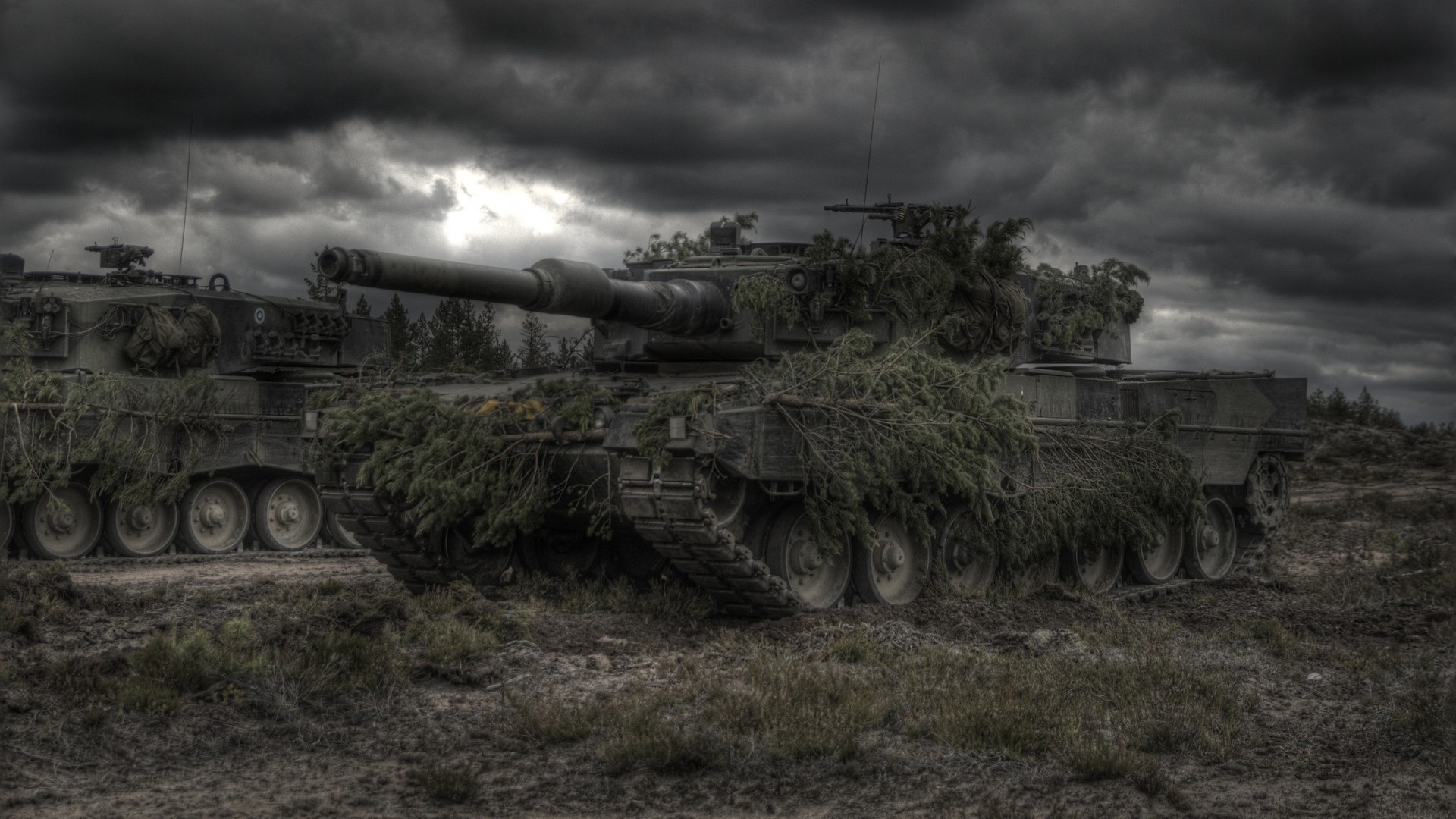 Leopard 1 Wallpapers