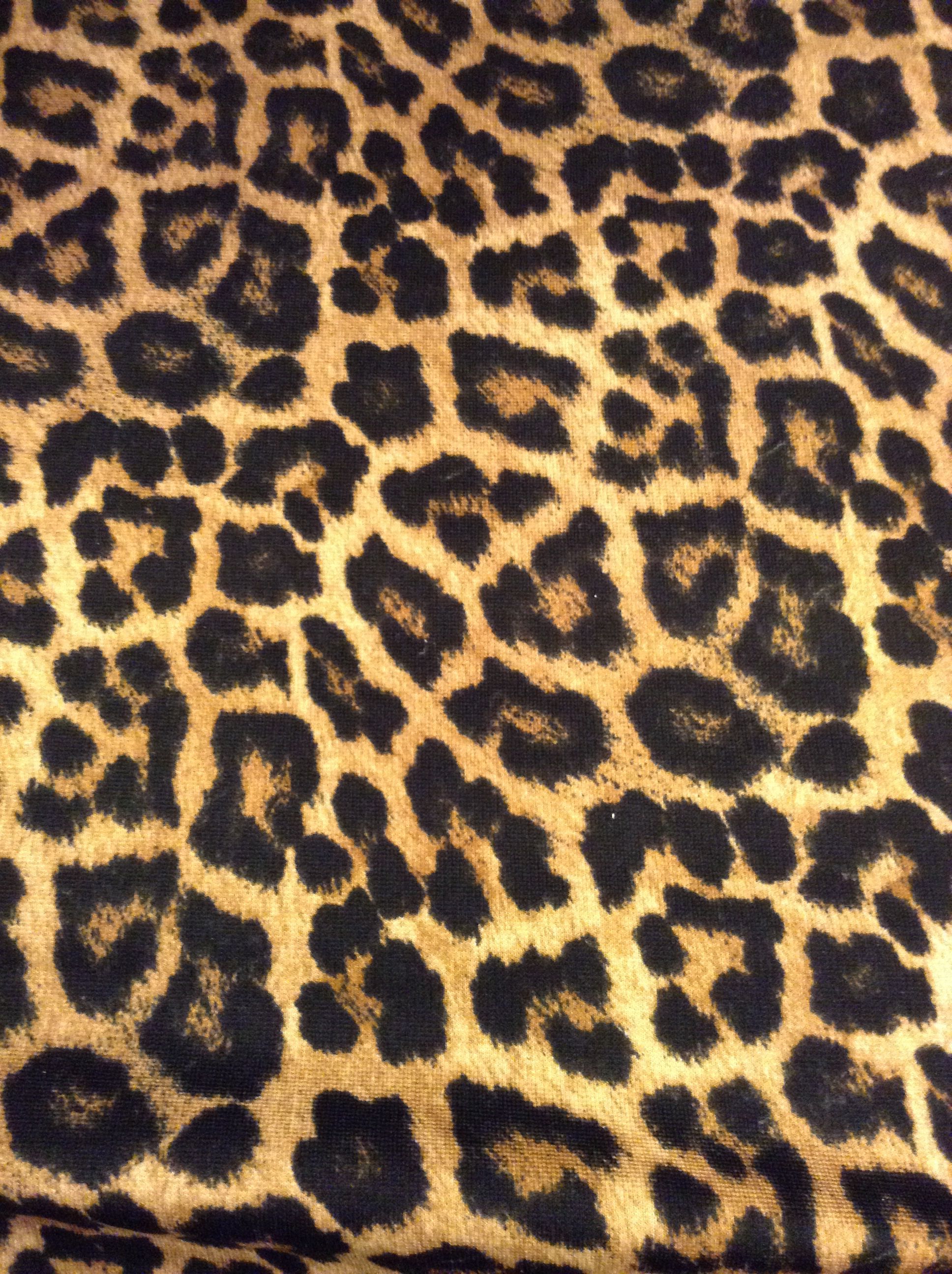 Leopard For Phone Wallpapers