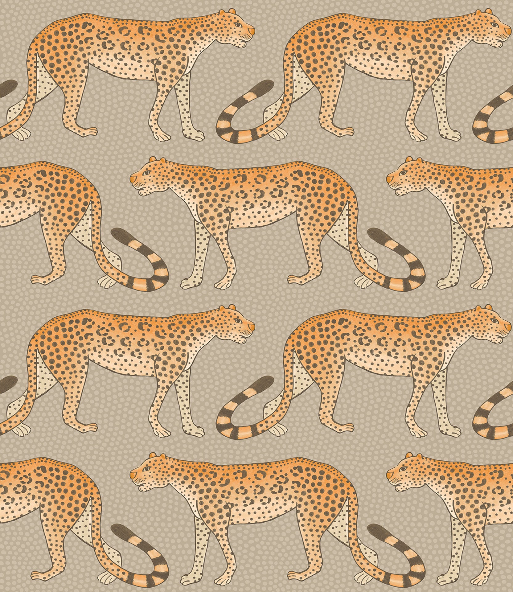 Leopard For Phone Wallpapers