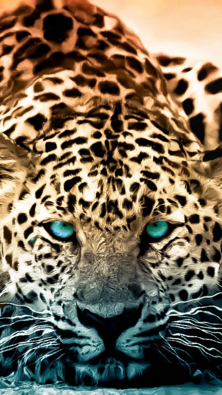 Leopard For Phone Wallpapers