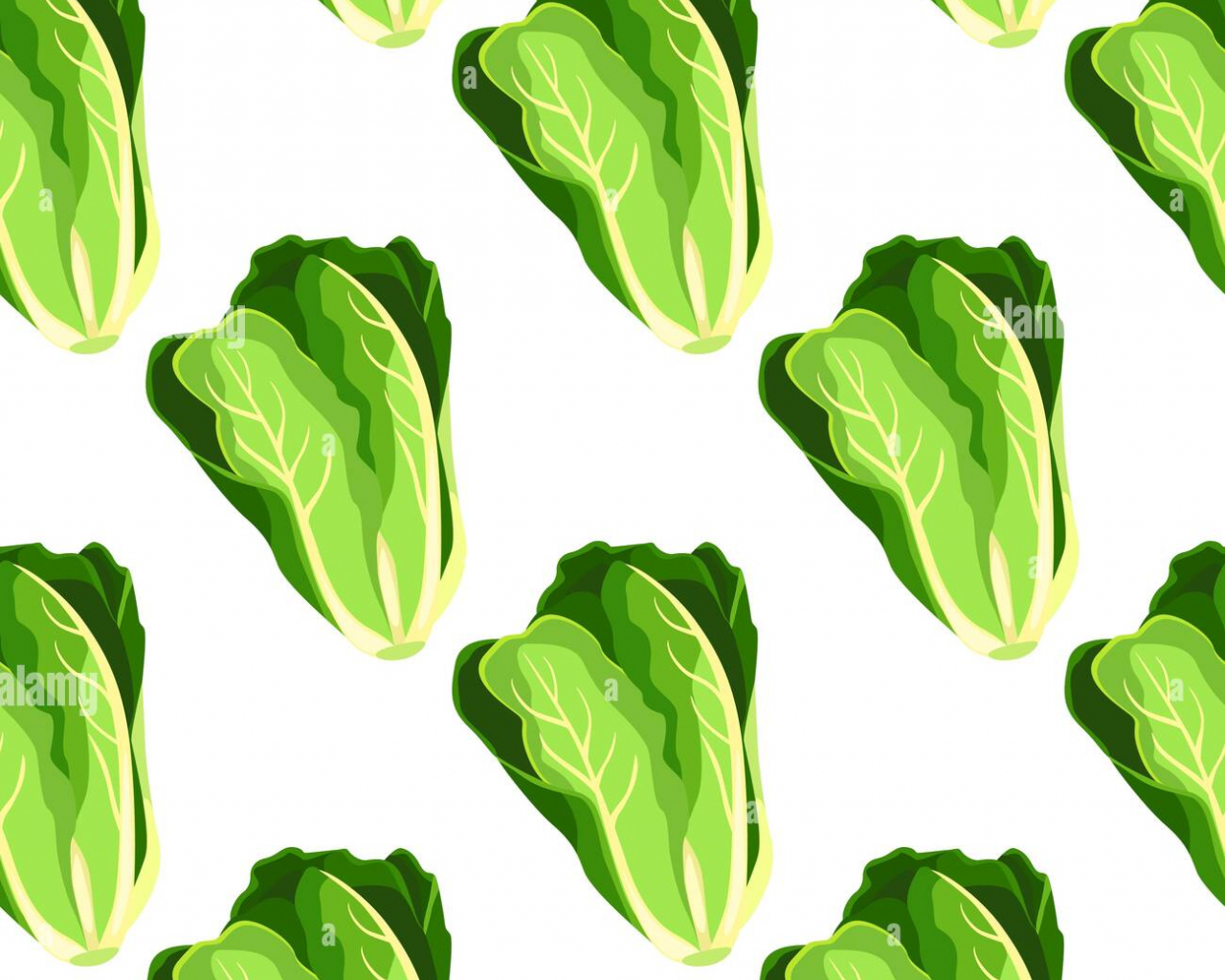 Lettuce Wallpapers