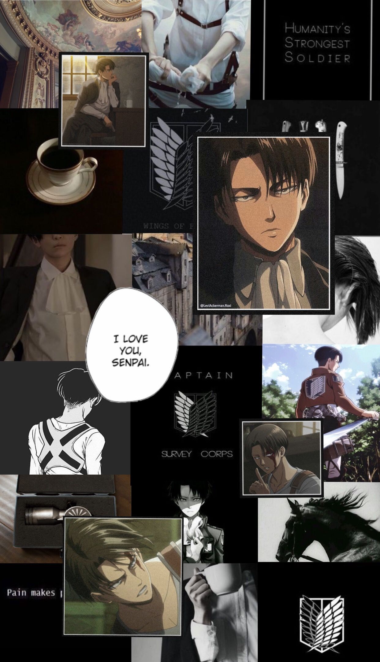 Levi Ackerman Wallpapers