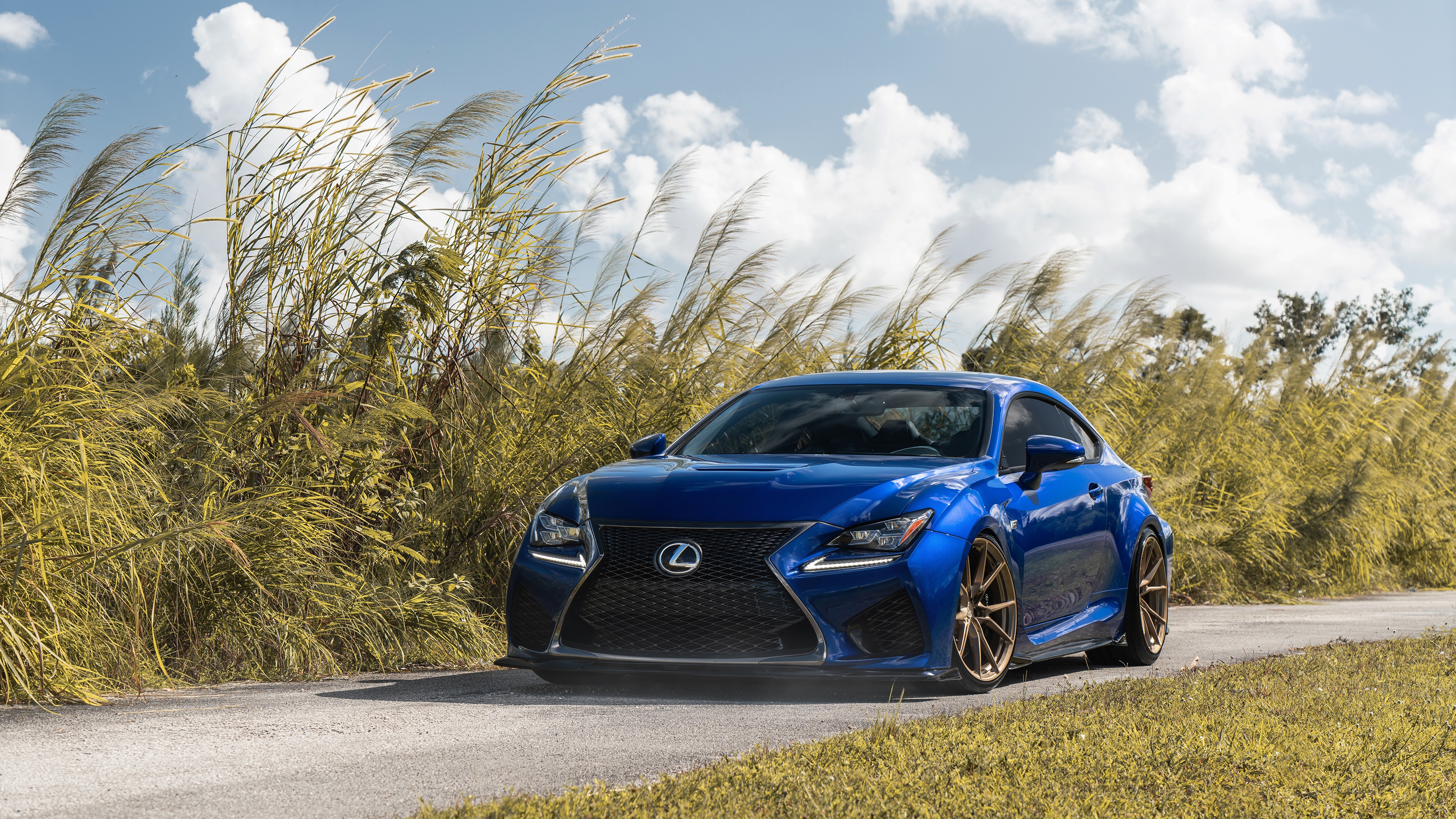 Lexus Rc F Wallpapers