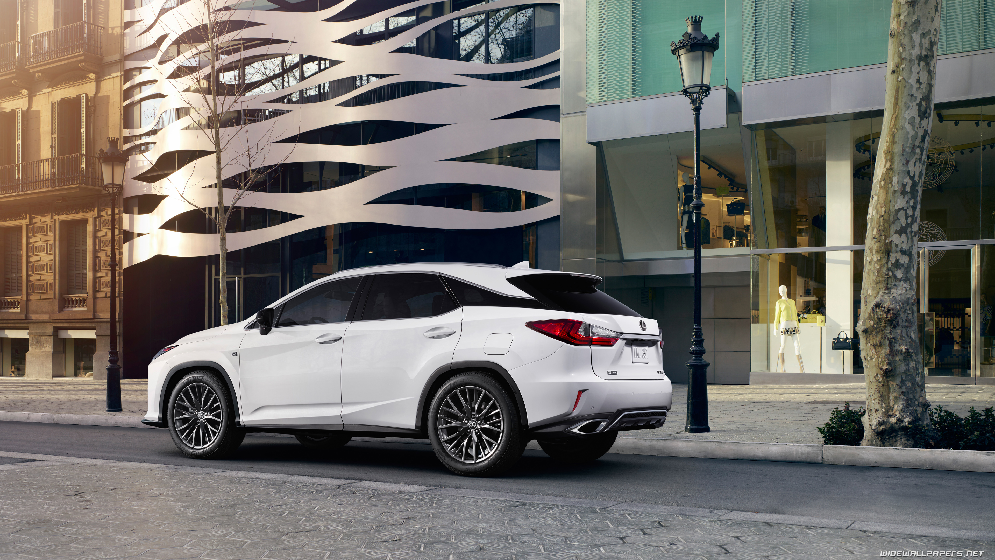 Lexus Rx 300 F Sport Wallpapers