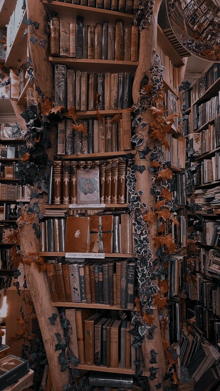 Library Aesthetic Wallpapers