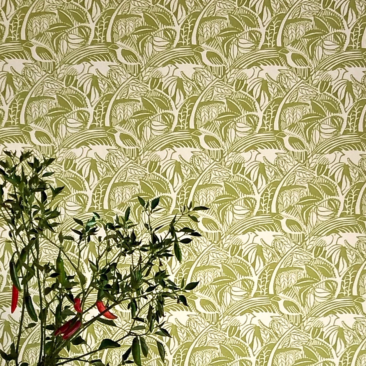 Lichen Wallpapers