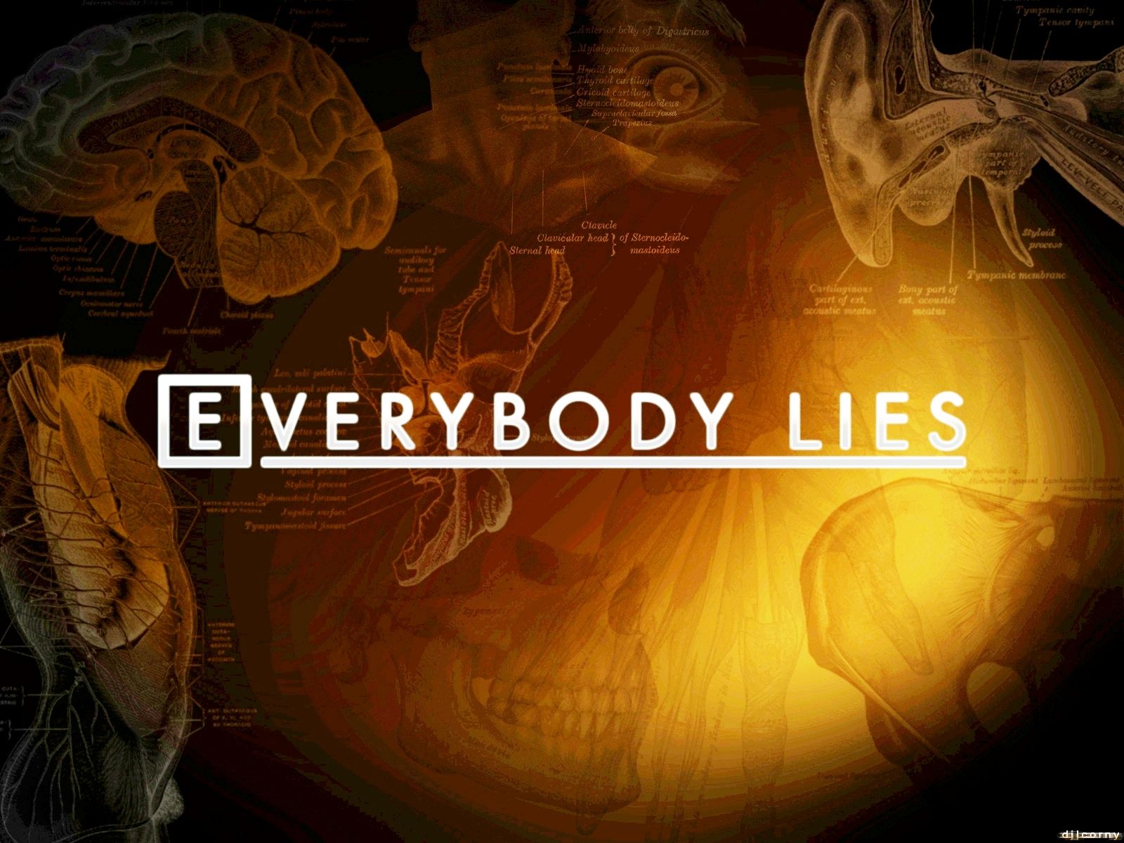 Lies Of P HD Wallpapers